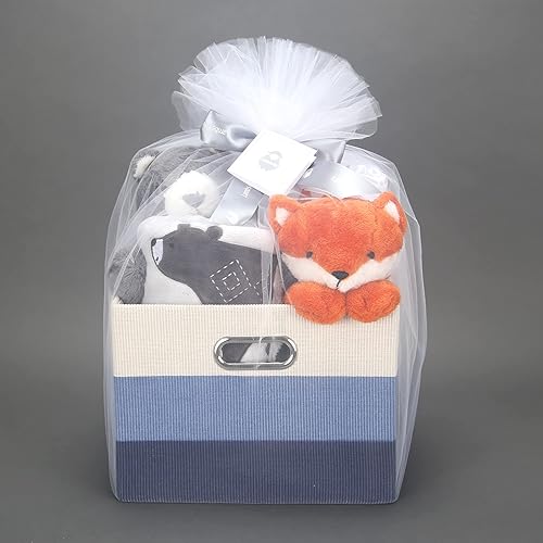 Lambs & Ivy Cesta de regalo de bebé azul de 5 piezas para baby showerrecién nacido Bienvenido a casa