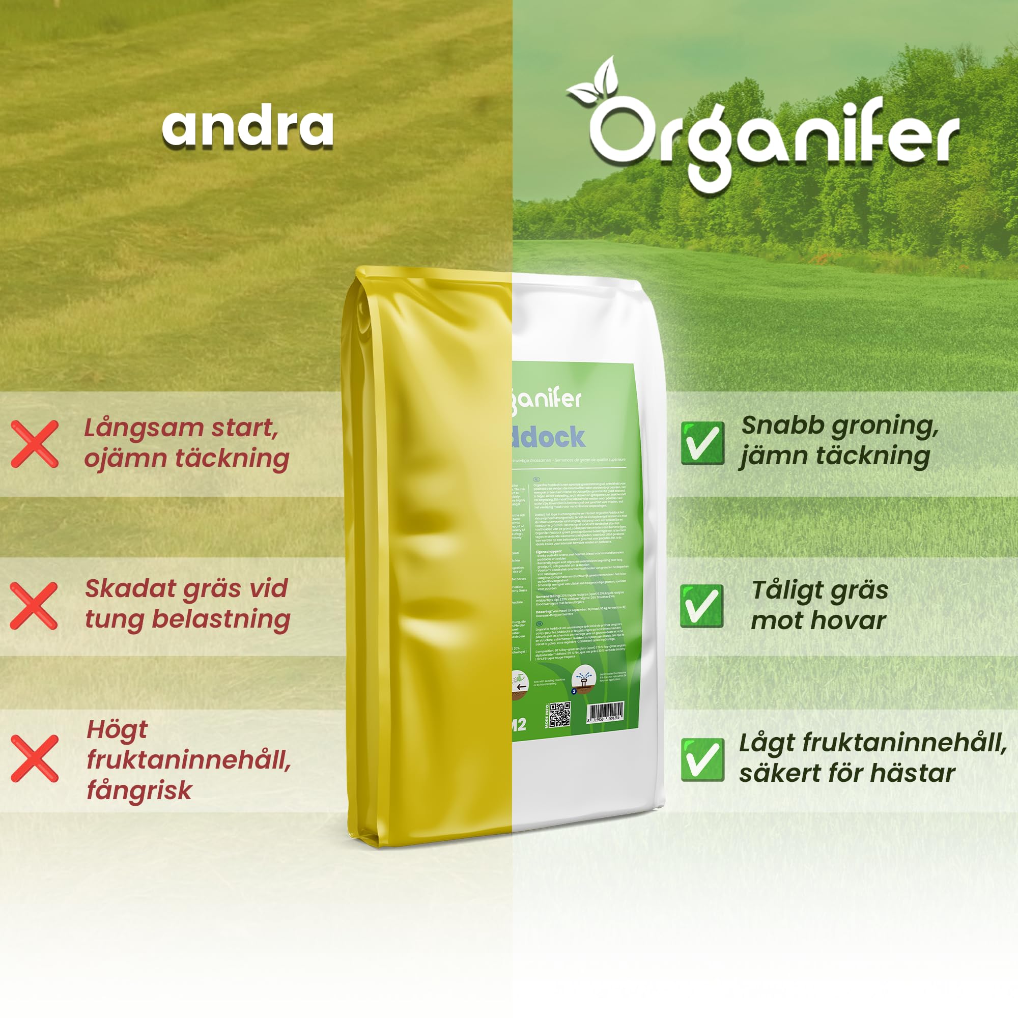 Semi Di Erba Per Paddock - 300kg = 15000m2 | Miscela Per Pascolo E Paddock - Erba Densa E Robusta - Povera Di Fruttani - Ricca Di Nutrienti - Organifer