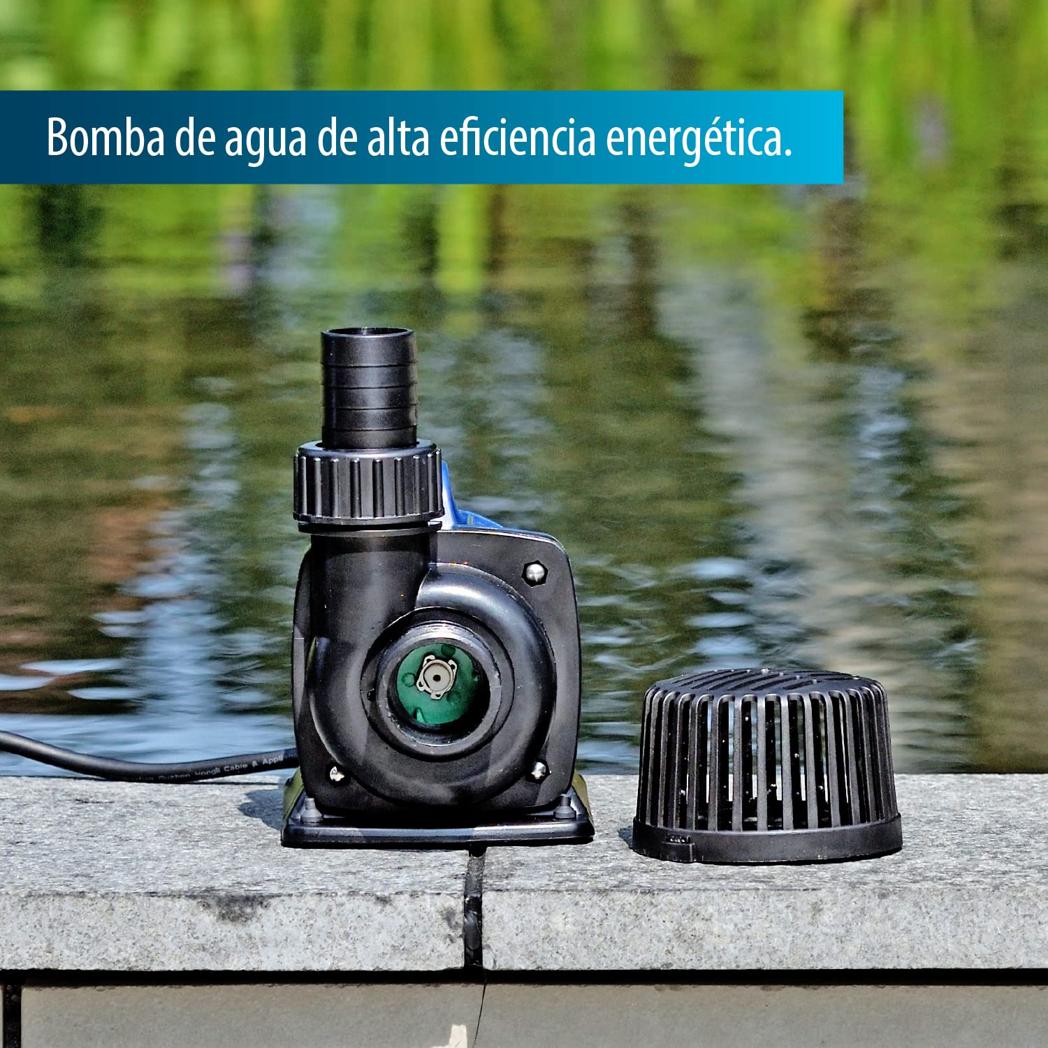 Acquaforte di stagno/Filtro Pompa DM 3500