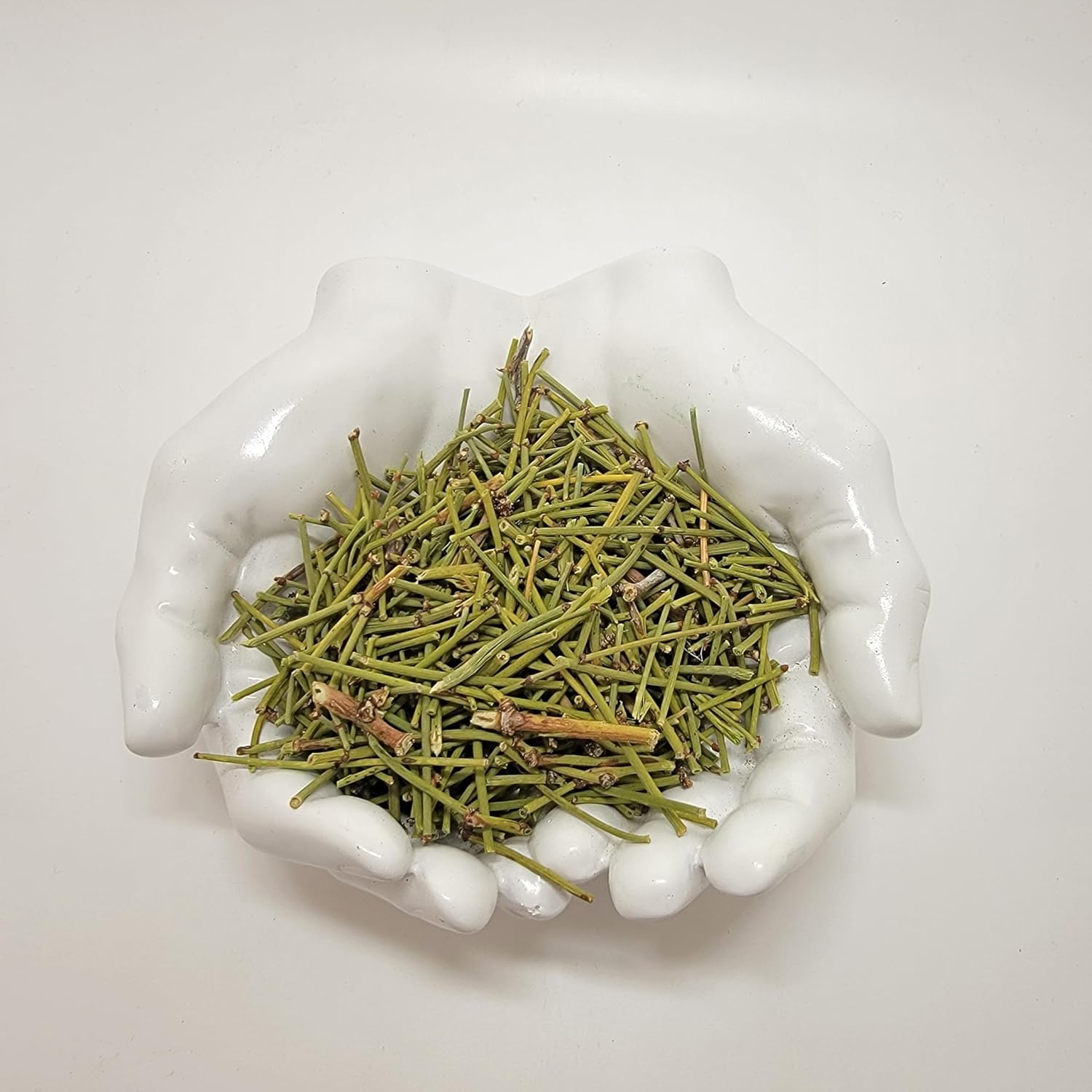 HealinGifts Healingifts Mormon Tea Brigham Canutillo Popotillo 2 oz 1.0 Ounce