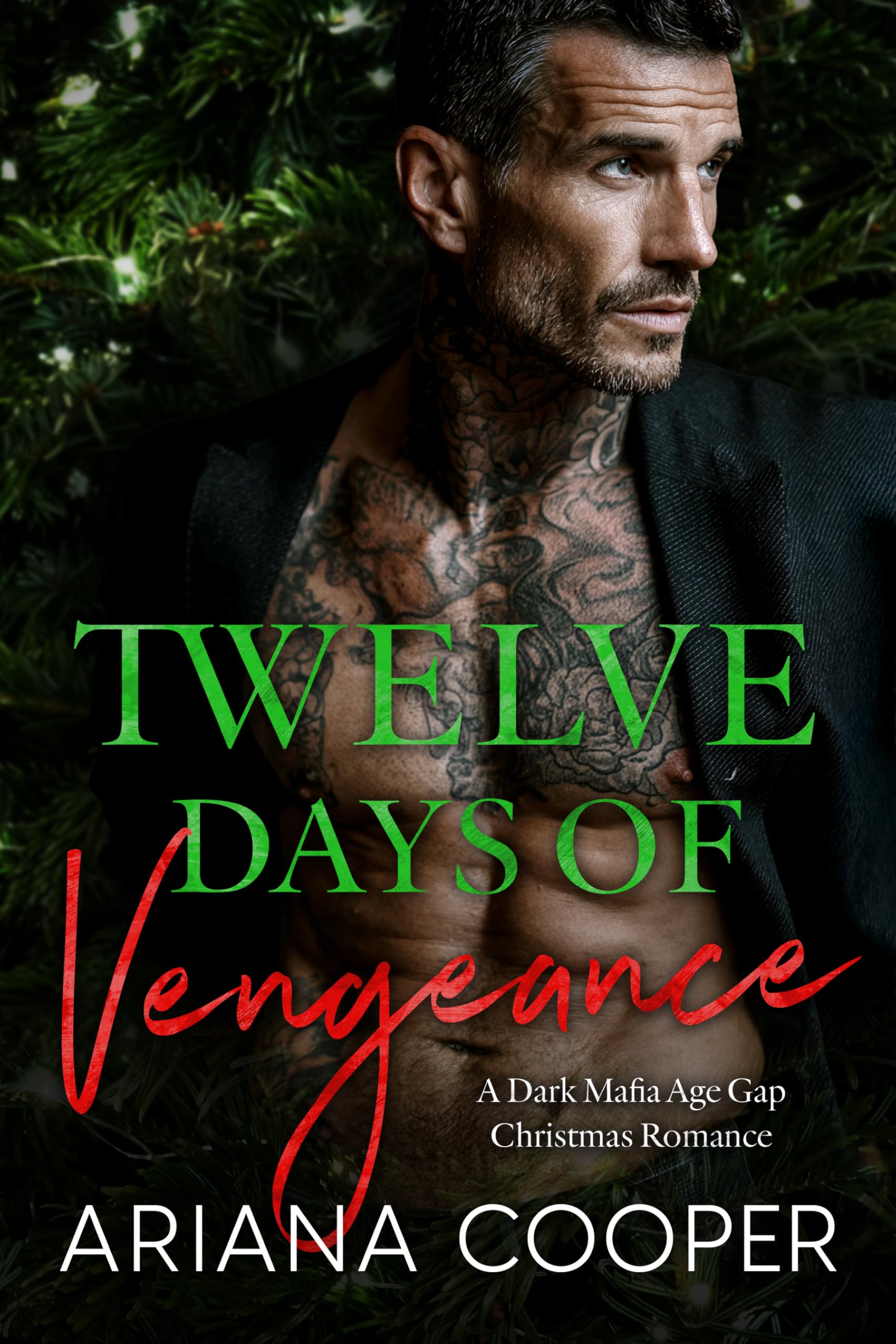 Twelve Days of Vengeance: A Dark Mafia Age Gap Christmas Romance (Twelve Days of Blood & Sin)