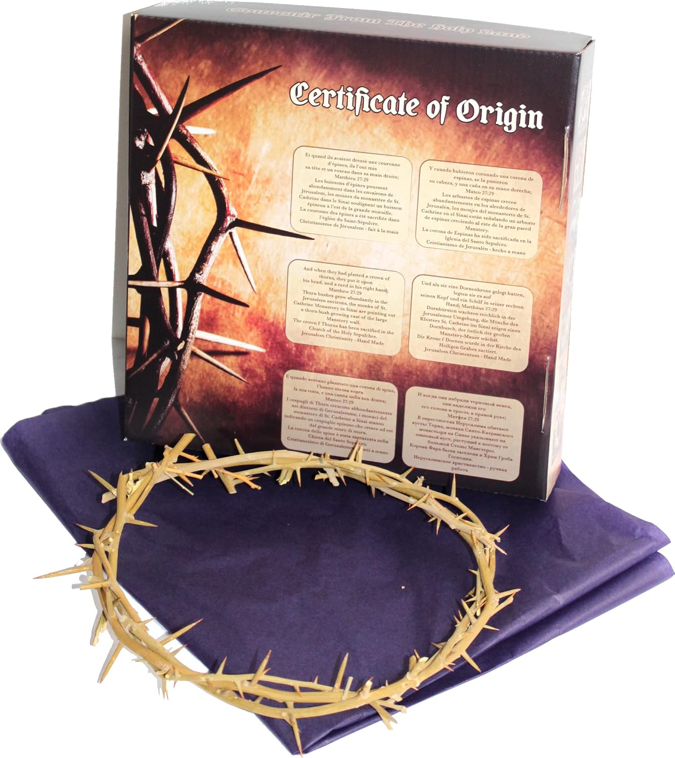 Holy Land Market Authentic Crown of Thorns from Jerusalem - Boxed Gift (7-8 in)