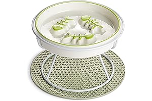 Raised Slow Feed Cat Bowl with Stand