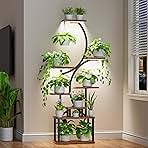 Plant Stand Indoor with Grow Lights - 62