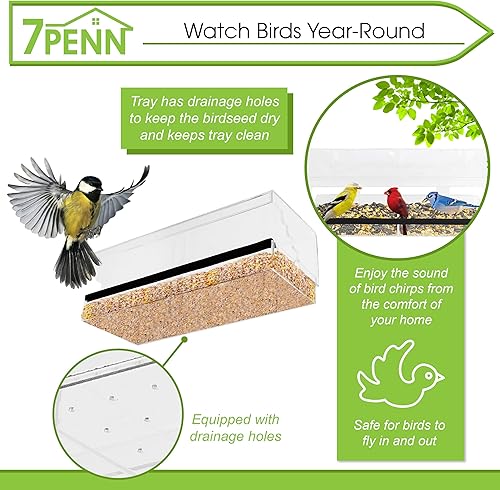 Miniatura 3 de 7Penn Comedero para pájaros con ventosa, bandeja transparente con orificios de drenaje para observación de aves durante todo el año