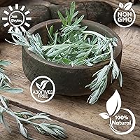 Vista 2 de TEARELAE - Hojas secas de hierba de artemisa natural - 4 oz/114 g - Té de artemisa Hoja suelta - Sin OMG, sin azufre - Hierbas secas 100% puras
