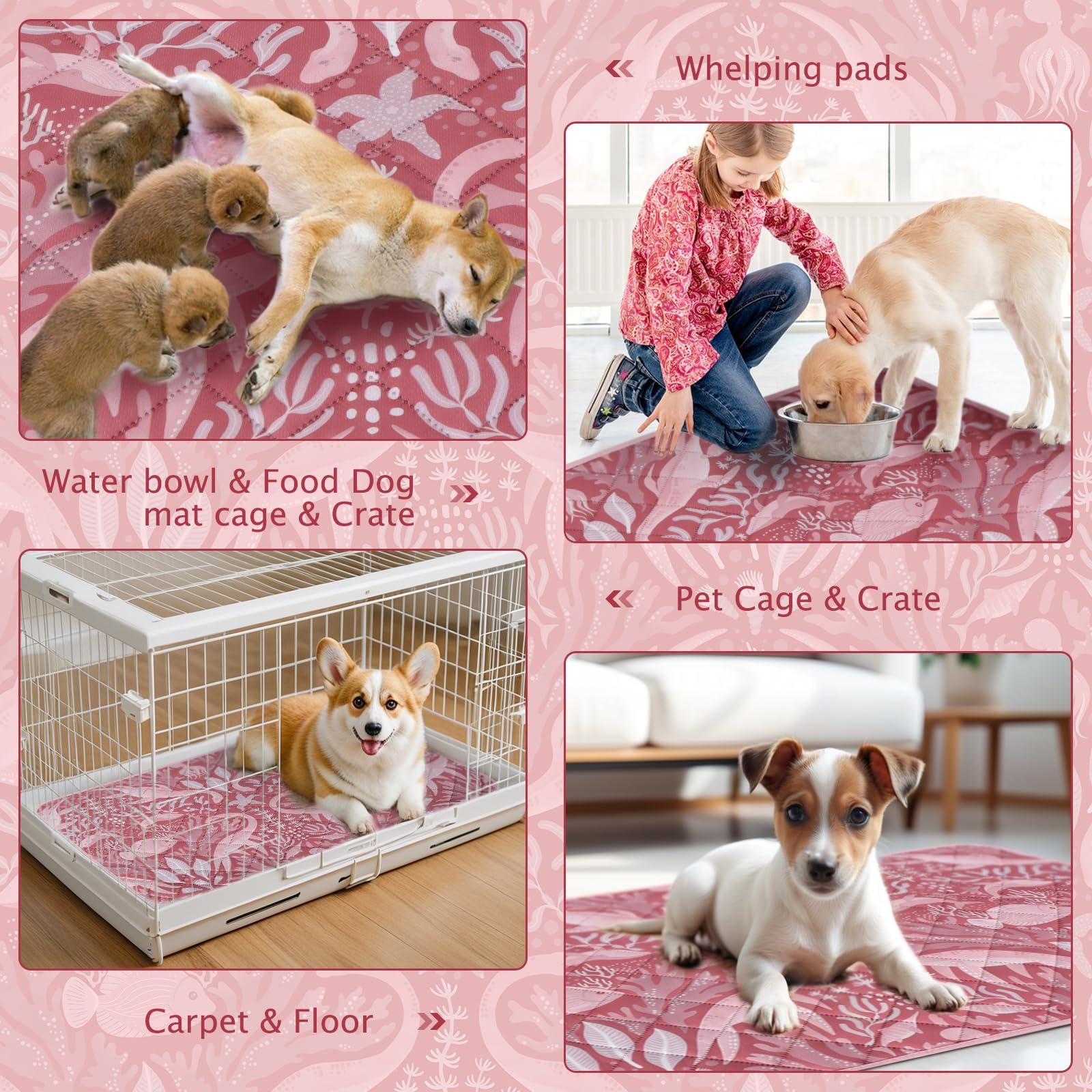 BVAGSS 2 Pezzi Tappetini Assorbenti per Cani, Tappeti Lavabili Riutilizzabili, Antiscivolo, Alta Assorbenza Addestramento traversine per cani XH081 (60x60cm,Dino Pink)