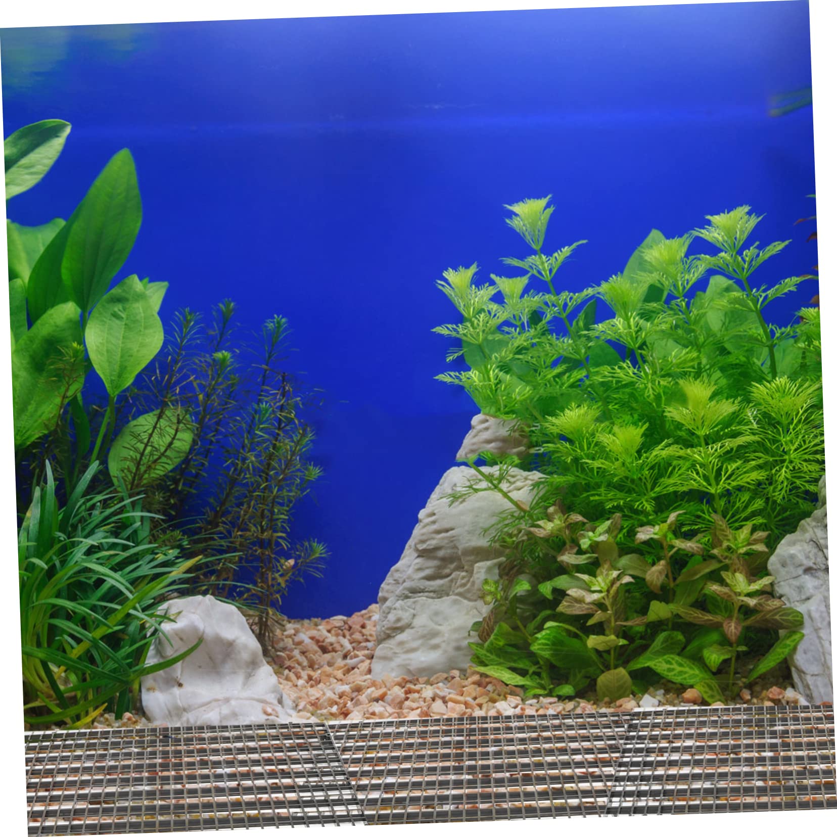 Angoily 1ensemble Plaques De Séparation pour Aquarium Isolante pour Répartition des Poissons Accessoire Pratique pour Aquariums avec Ventouses Noires