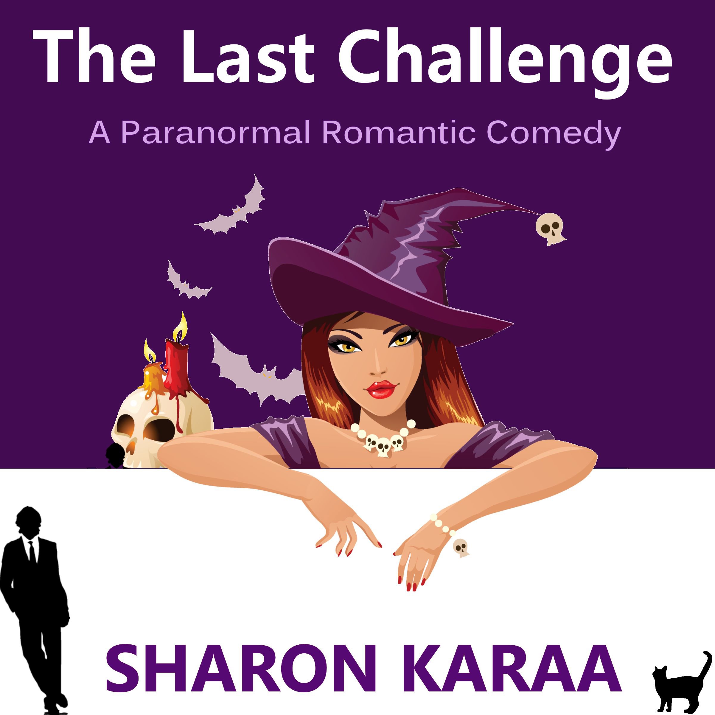 Cover art for The Last Challenge