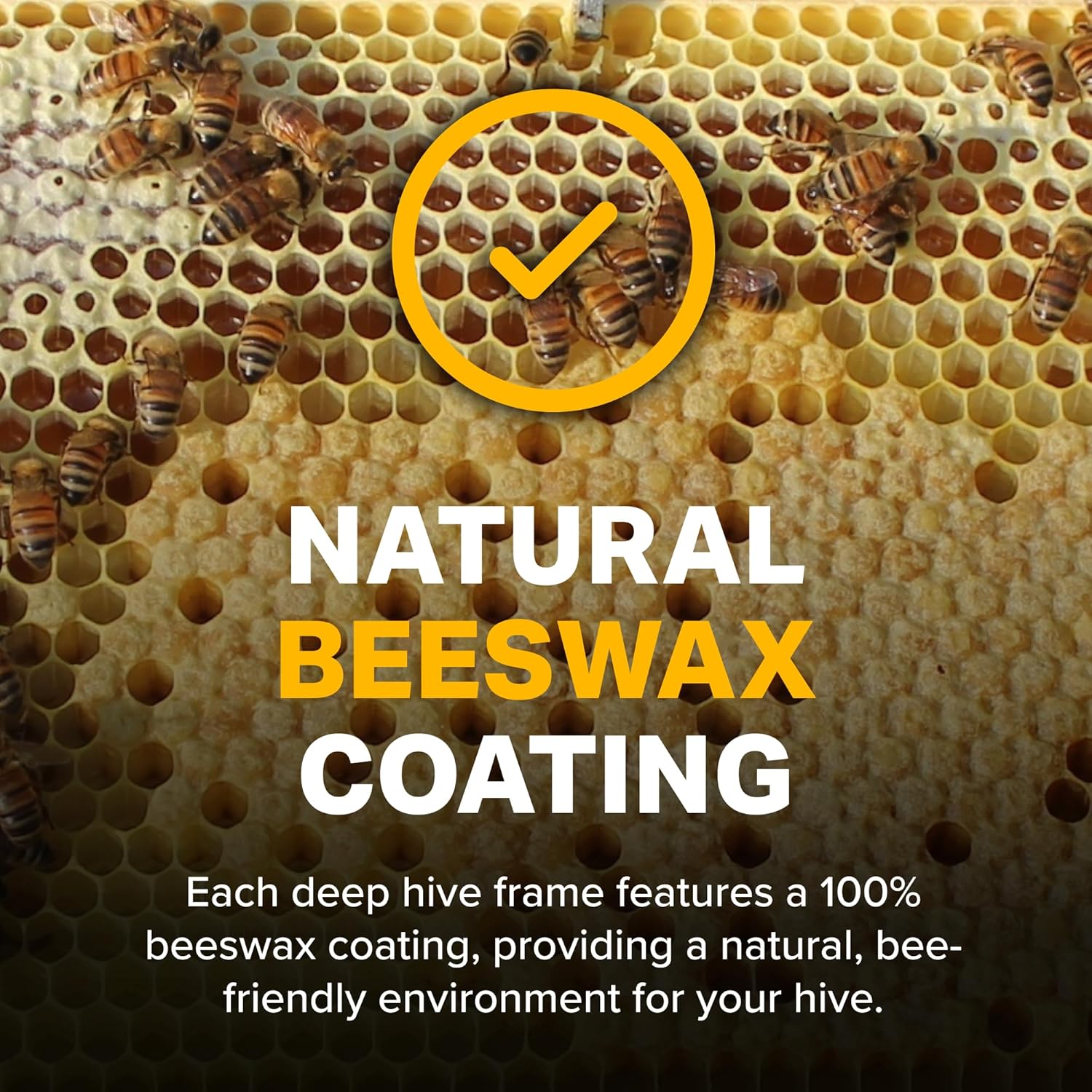 Mann Lake Premium Beekeeping Frames, All-in-One Frame & Foundation, Natural Beeswax Coating, Universal Fit, BPA & BPS Free, 9 1/8 Inches, Black, 10-Pack - Image 3