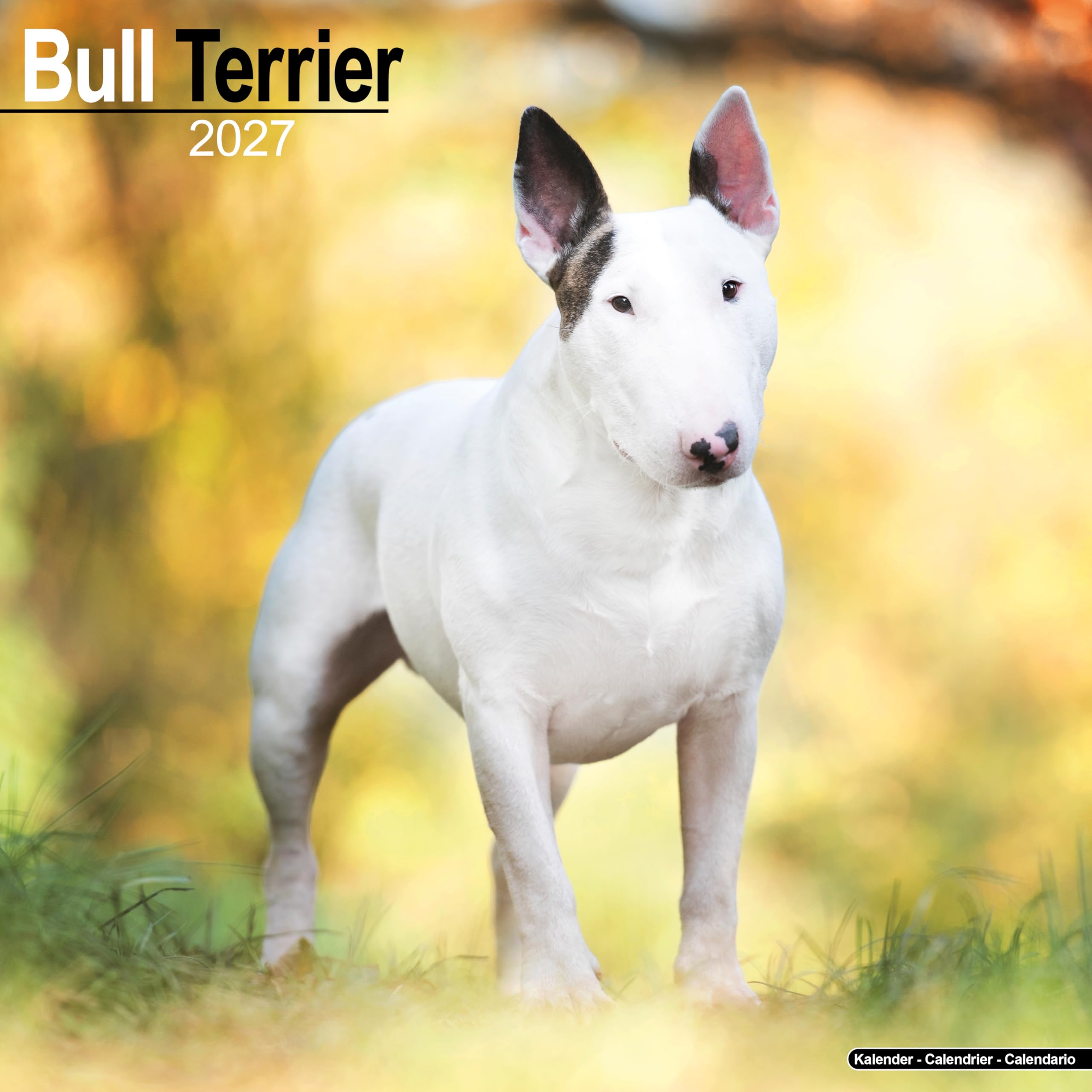 Bull Terrier Calendar 2027, Wall Calendars, Month To View, Dogs, Gift