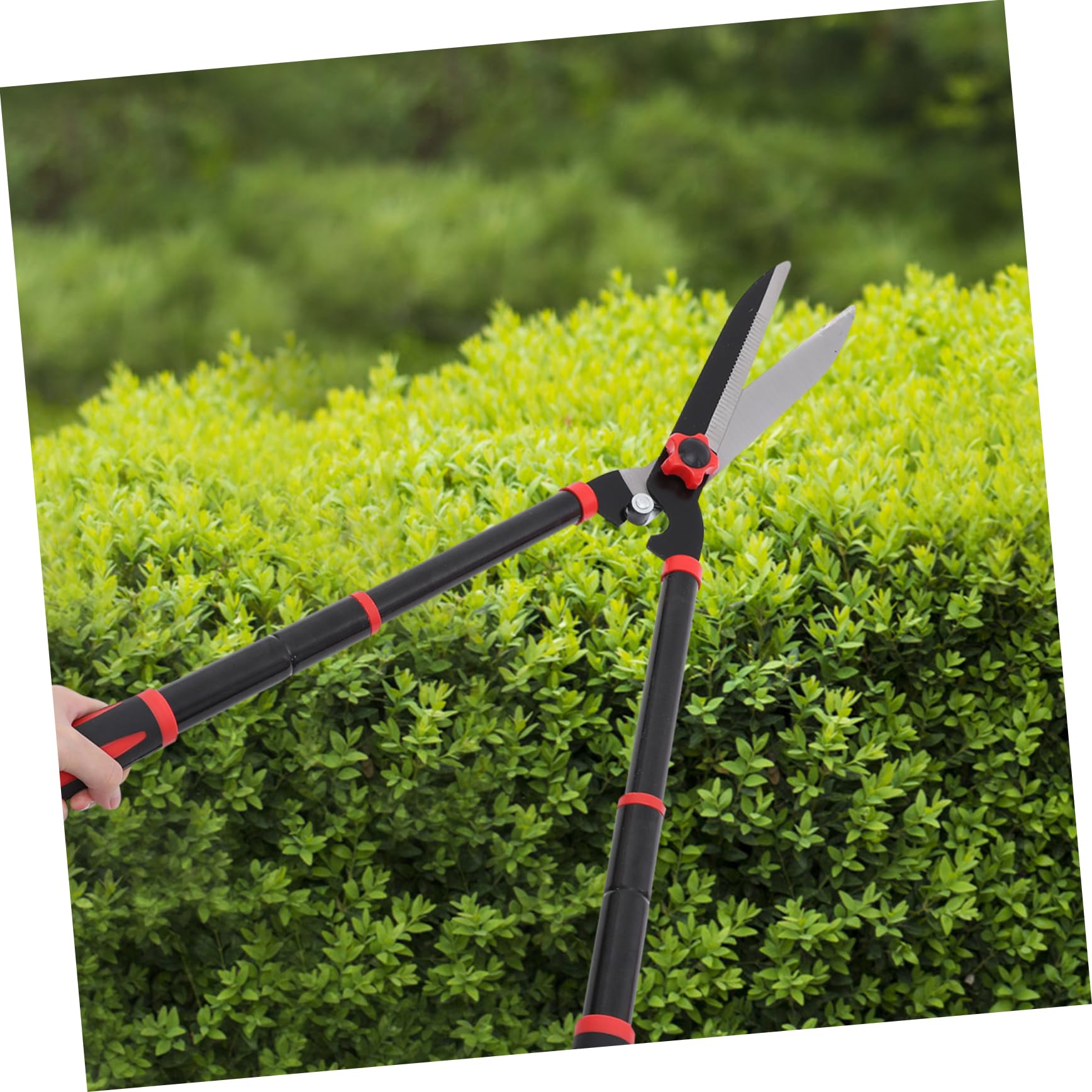 VANZACK Cisailles à haies de jardin manuel des taille-haies ciseaux de jardin cisailles de jardinage cisailles à haies outils de jardinage lourd tondeuse à gazon pelouse