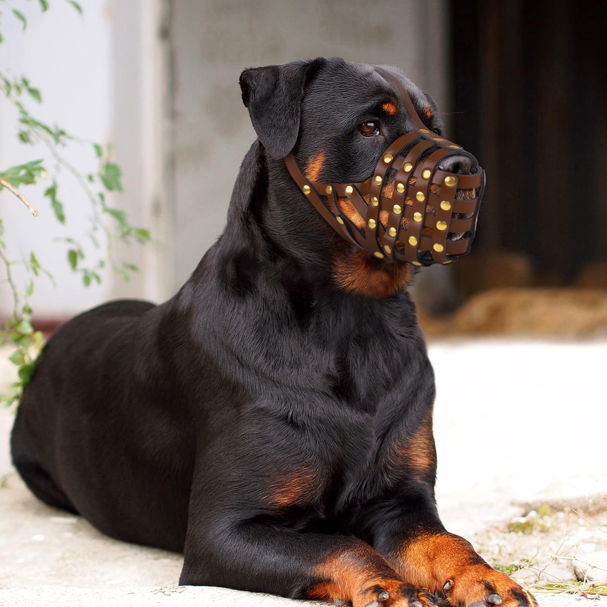 OOPSDOGGY Rottweiler Dog Muzzle for Large Dogs - Image 3
