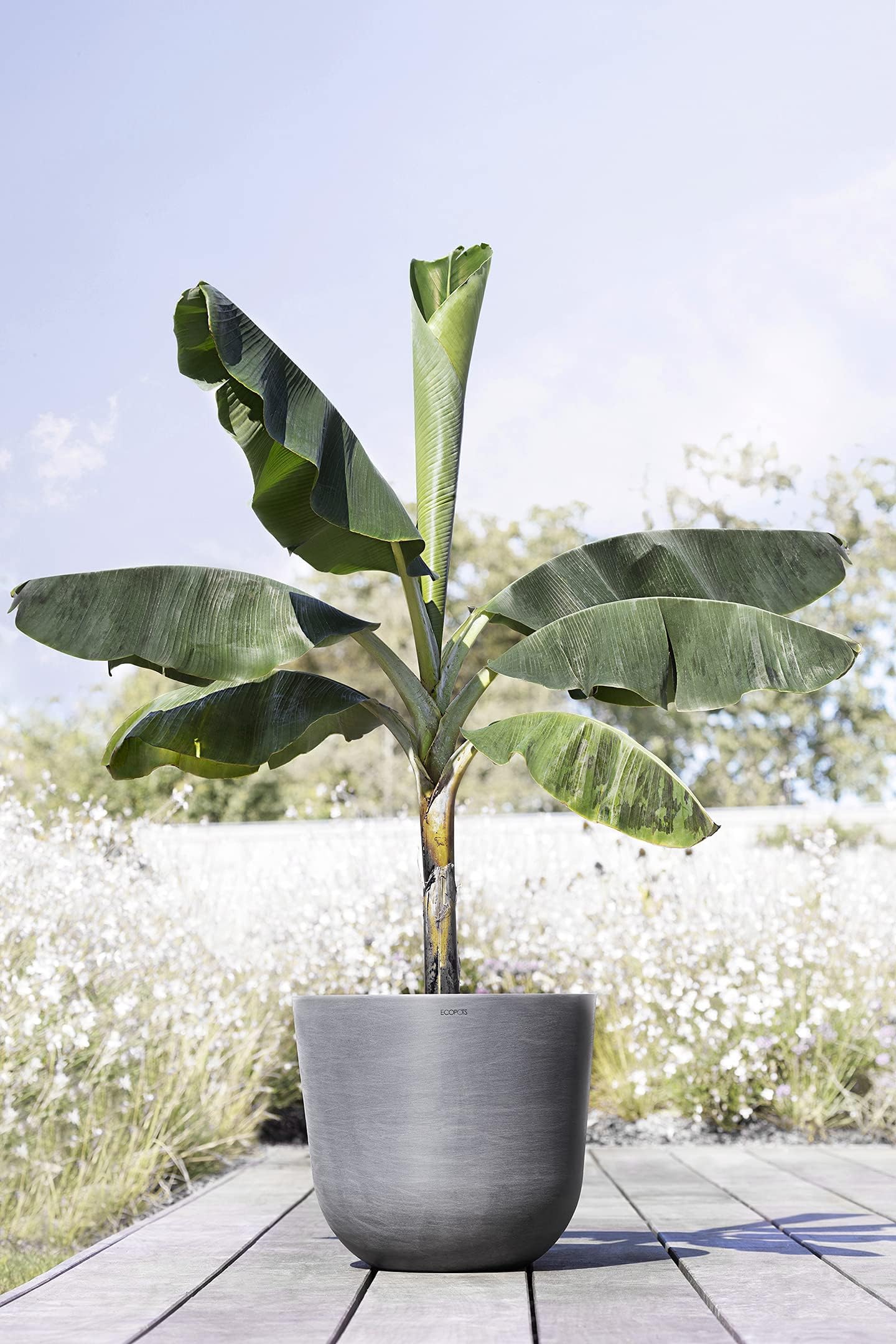 ECOPOTS Ashortwalk Vaso per piante in plastica riciclata, diametro 55 cm x altezza 47,9 cm, colore: grigio