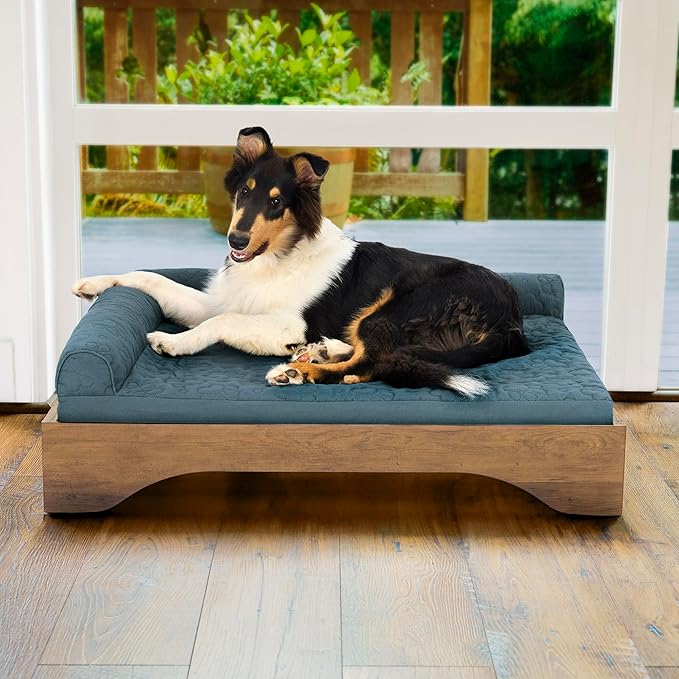 Cama Elevada para Perro Grande Tipo Catre con Base Flexible miniatura 9