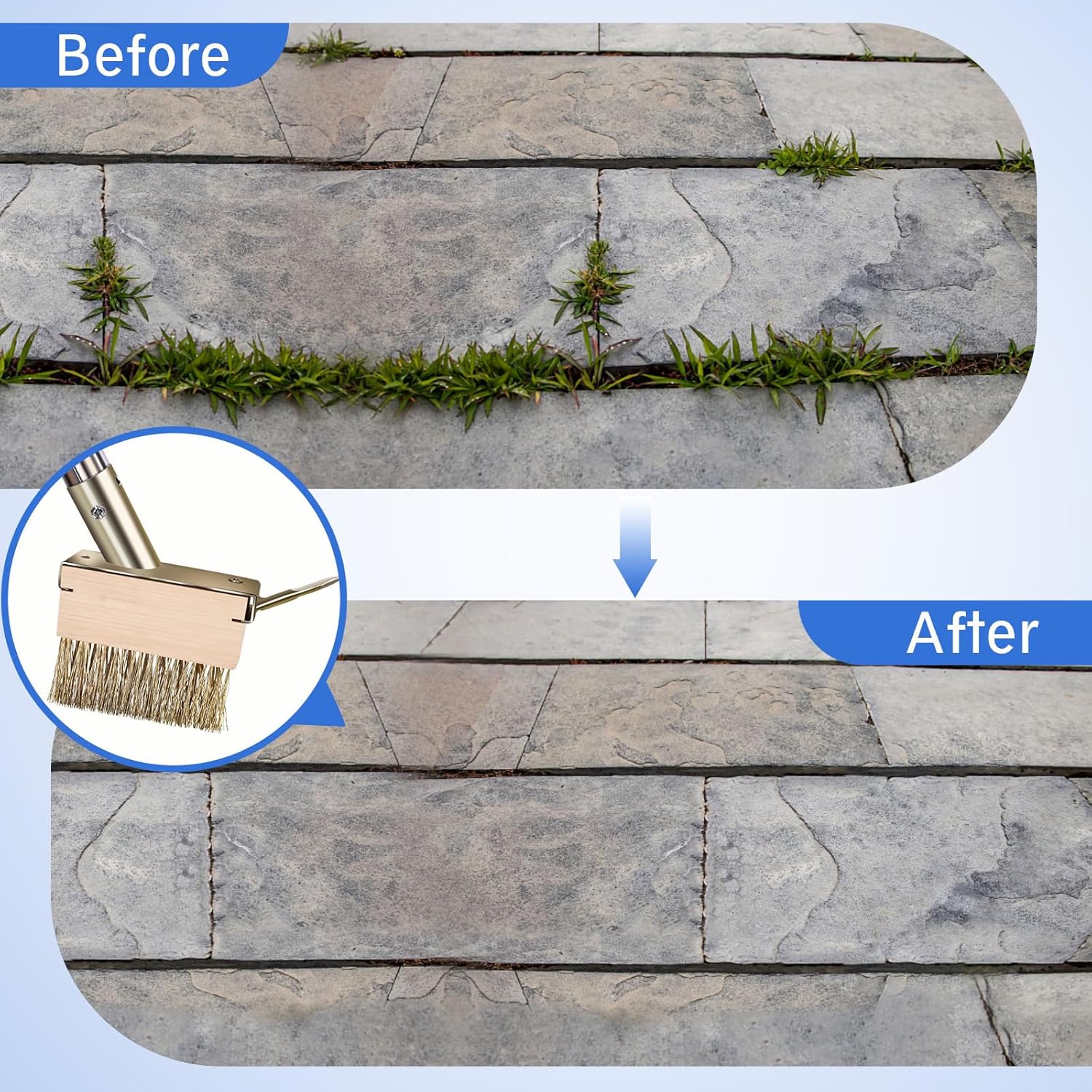 Moss Grout Remover Brush Tool with Detachable 64.9Inch Handle for Outdoor Concrete Deck Pavers Patios Walkways Crevice Cleaning, 2 Pcs Metal Wire Brush Heads with Crack Scraper Weeder Puller