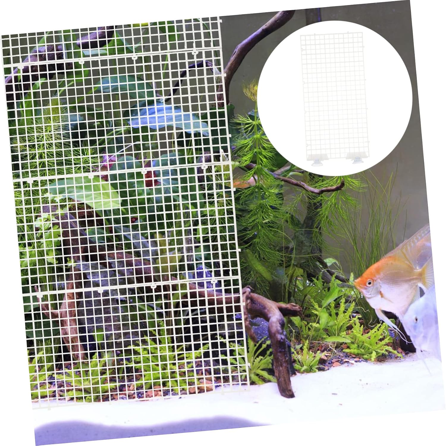 Milisten 1set Aquarium Isolation Panel Lattice Plate Random Cups for Fish Tank Dividers Easy to Install and Removable