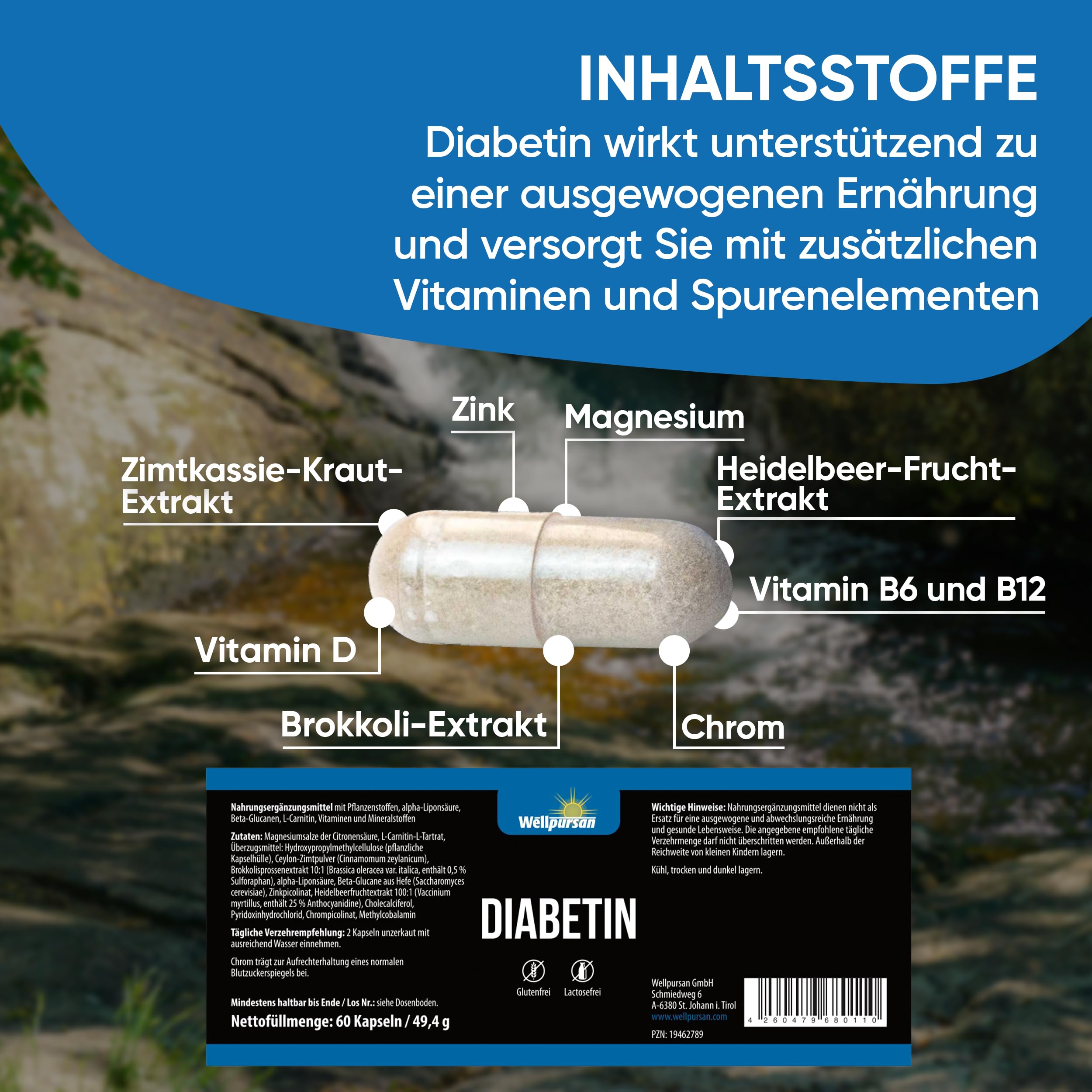 Wellpursan Diabetin Kapseln (3 x 60 Kapseln) – Natürlicher Komplex zur Unterstützung eines ausgewogenen Stoffwechsels und der allgemeinen Vitalität.