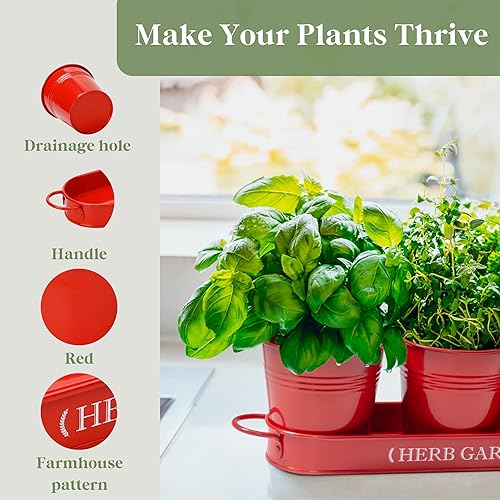 Miniatura 3 de PERFNIQUE Jardín de hierbas para interior, maceta de jardín de hierbas para interiores y exteriores, macetas de granja, alféizar de la ventana