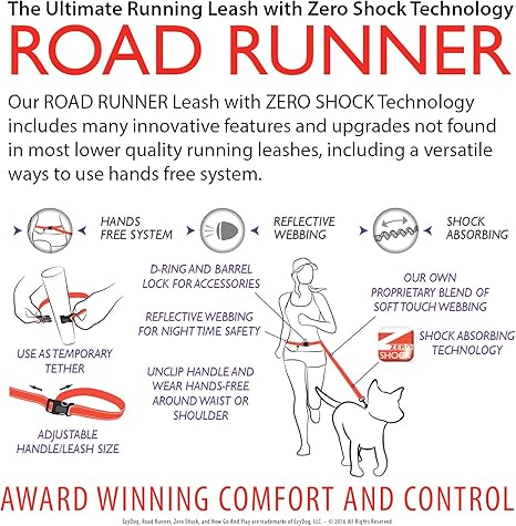 roadrunner running dog leash