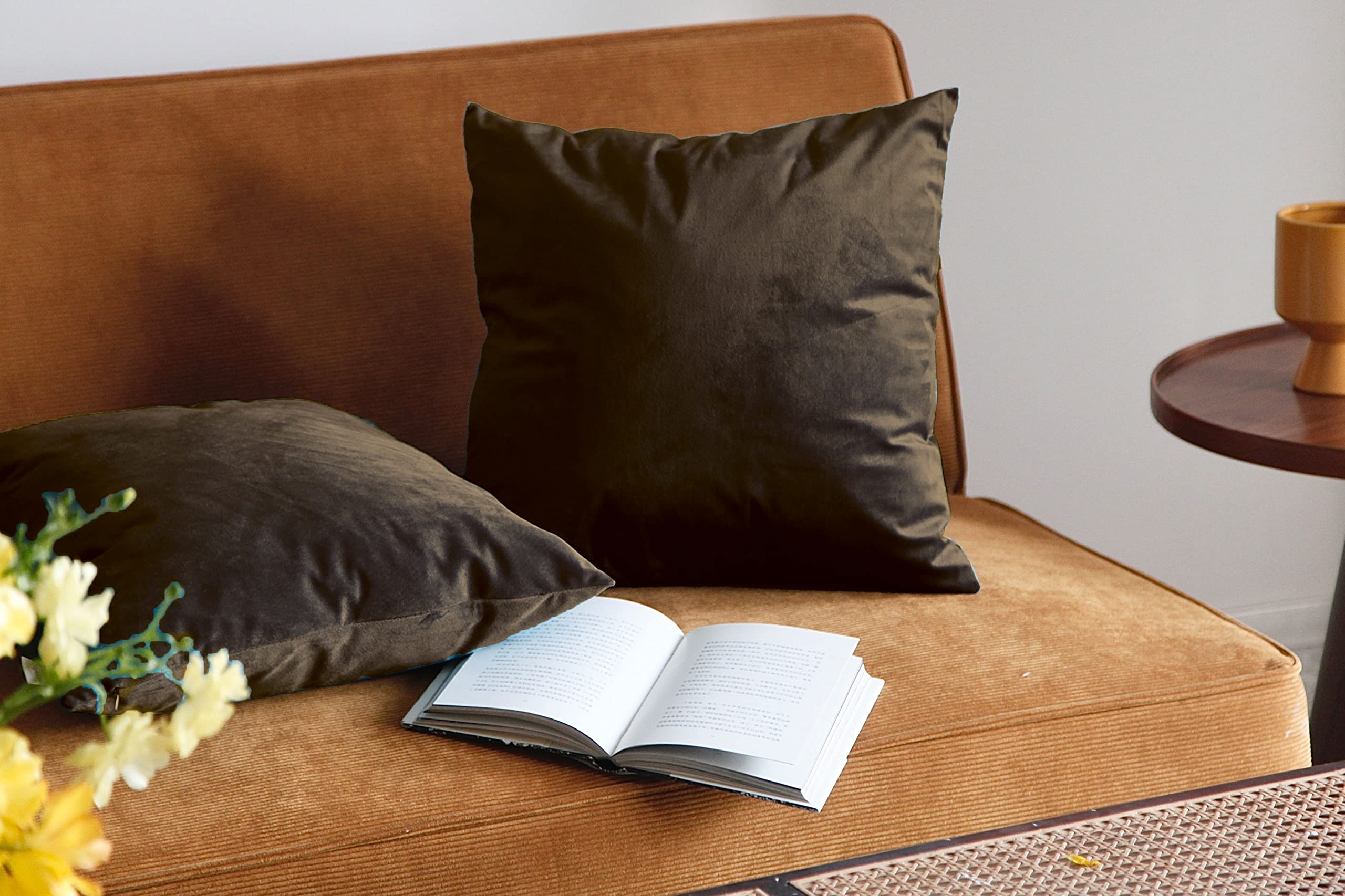 Pagnanno. Chocolate Set Of 2 Soft Velvet Cushion Covers 45X45cm(18X18 Inches) Plain Throw Pillowcases Square Cushion Covers For Chairs,Living Room,Bedroom With Invisible Zipper ((Pack Of 2), )