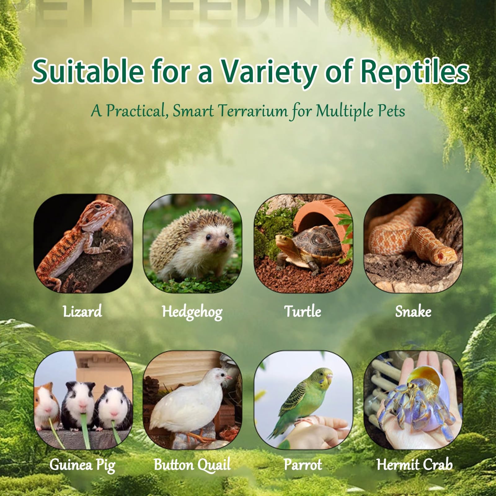Hábitat de salón de Reptiles con termostato, terrario de Madera for Reptiles con ventilación de Aire de Metal, recinto de Puerta corredera Transparente acrílica for pitón Bola(Na,11.89gal)