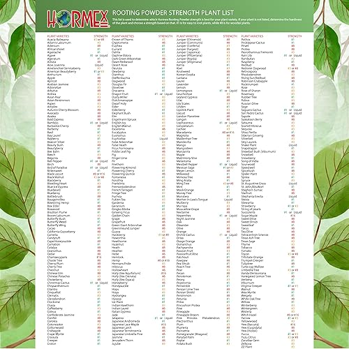 Miniatura 4 de Hormex Polvo de enraizamiento #3, 8, 16  Paquete de jardín doméstico de alta resistencia  Rápido y fácil  Libre de alcohol, tinte, gel y