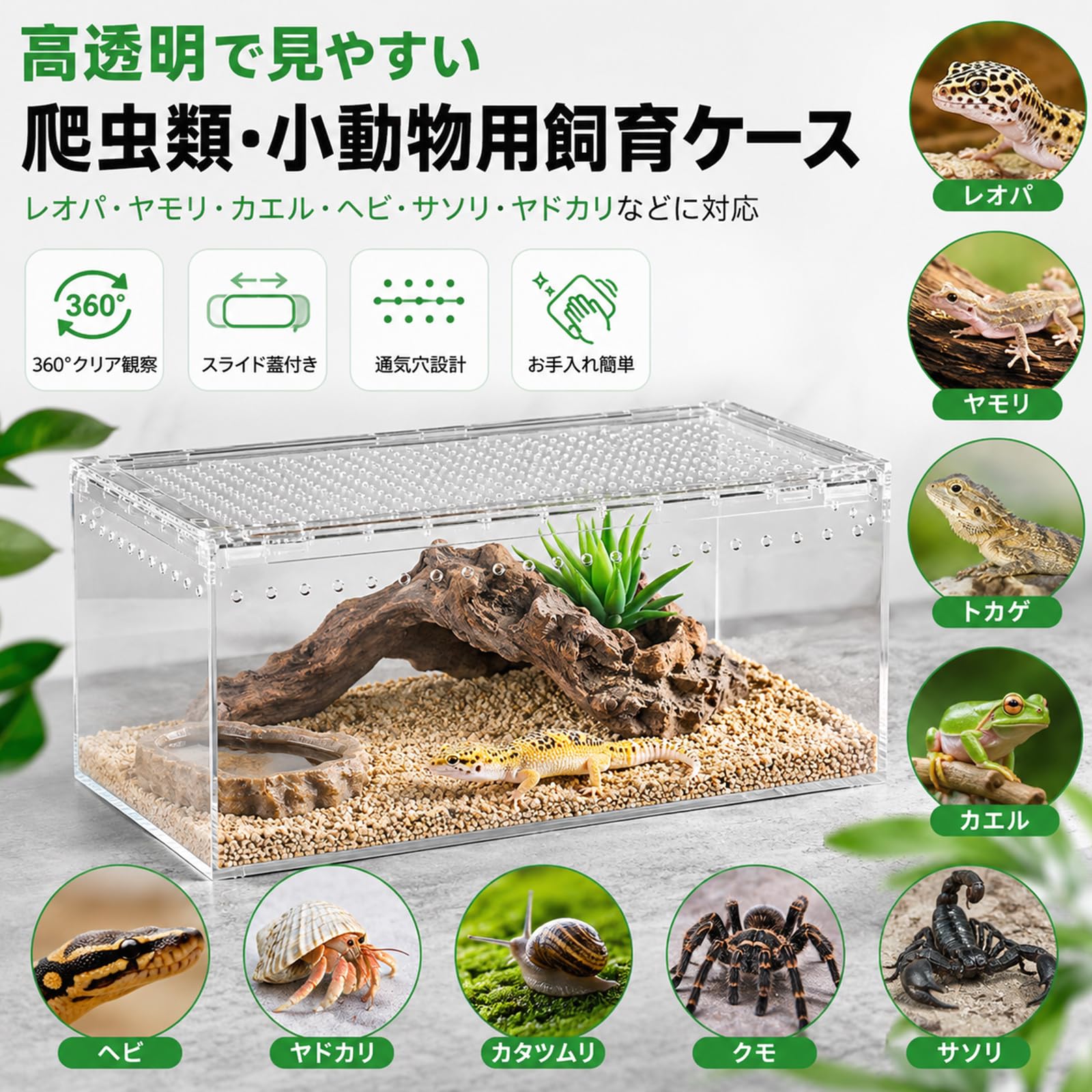 Amazon | 爬虫類 ケージ 飼育ケース アクリル製 スライド蓋付き 通気穴