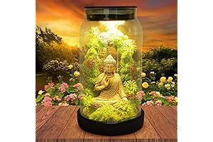 Elegant Outdoor Zen Garden with Solar Powered Buddha Statue