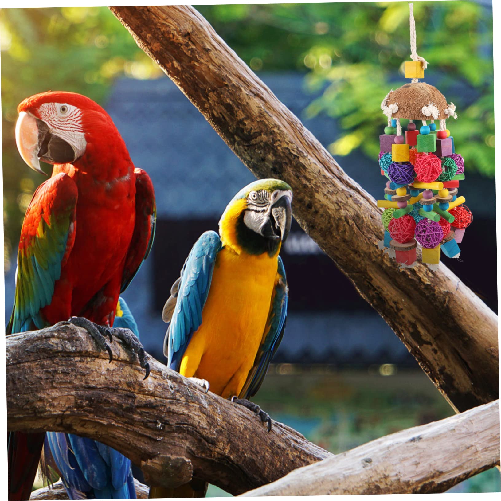 Angoily 1piezas Juguete para Aves De Jaula Accesorios para Periquitos Juguete Colgante De Natural para Mascotas para Masticar y Jugar La Jaula De Aves