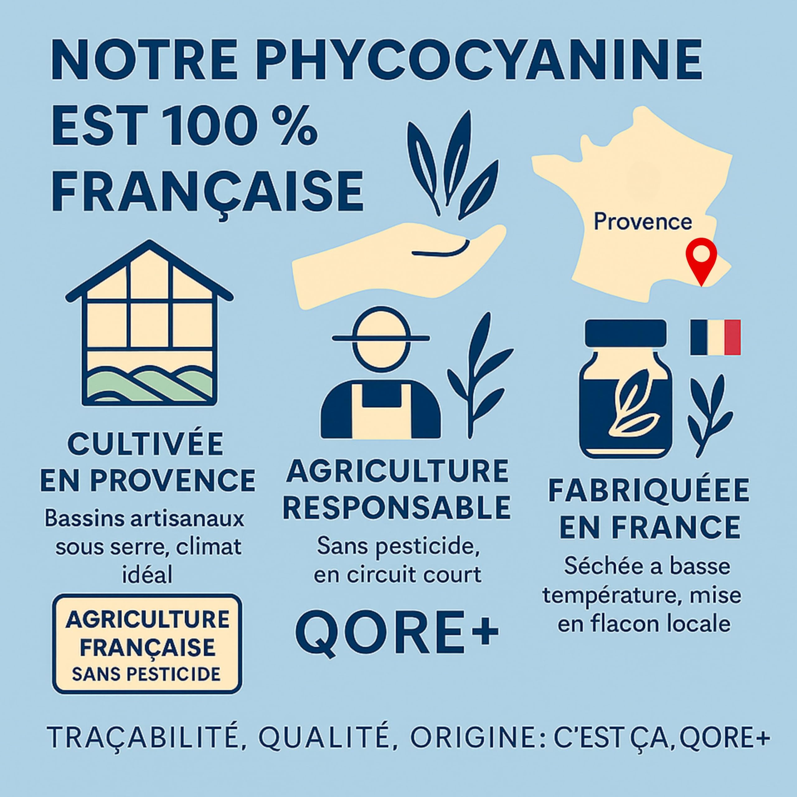 Phycocyanine Liquide Ultra Assimilable 2000 mg par Litre – Spiruline Bleue Française Sans Additifs – Cure 20 Jours – Énergie Naturelle, Récupération, Immunité et Antioxydant Vegan Made in France