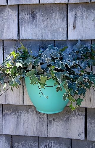 Miniatura 4 de The HC Companies Maceta de pared de jardín de 8 pulgadas, maceta colgante de plástico para flores de interior y exterior, hierbas, color blanco