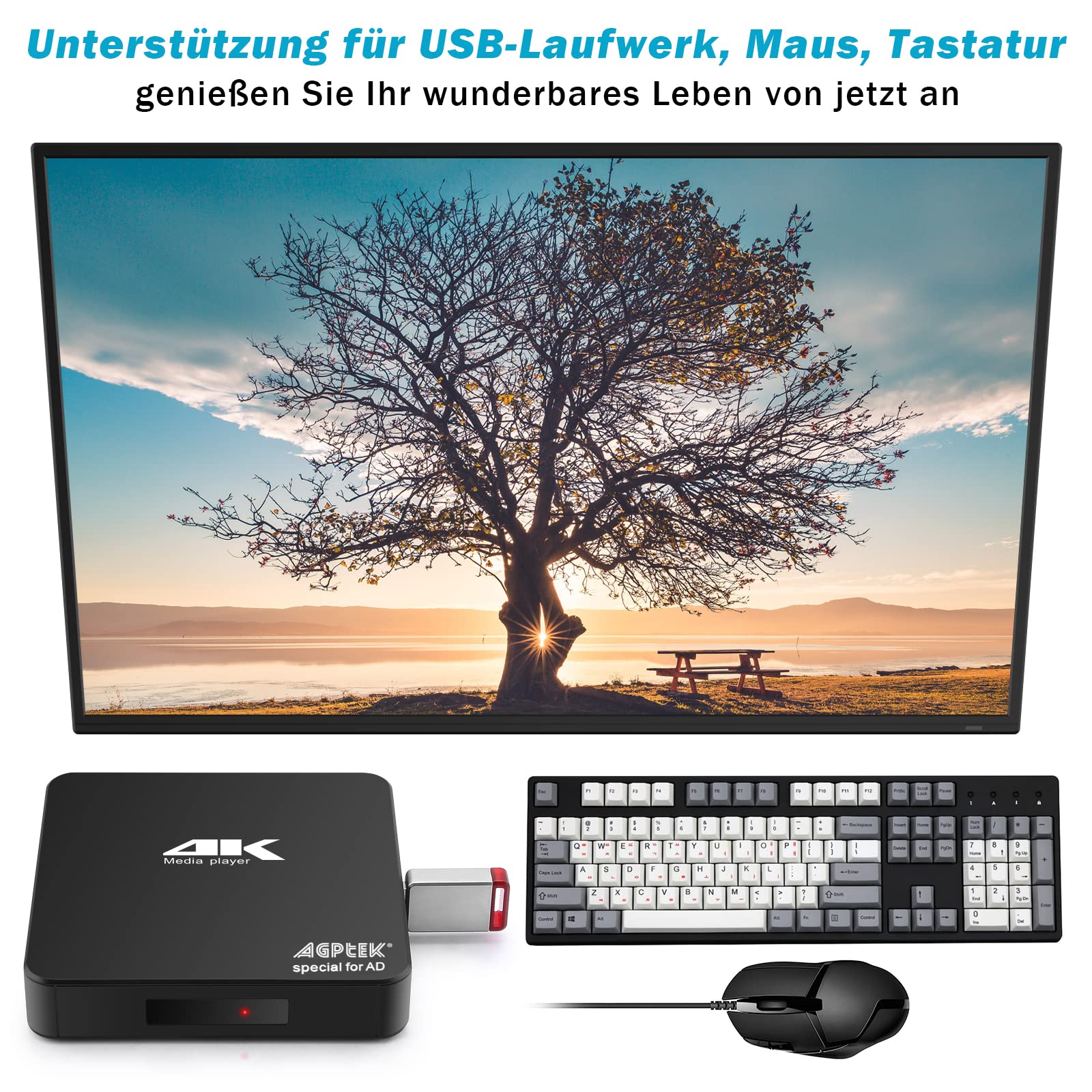 AGPTEK 4K@60hz MP4 Media Player unterstützt 8 TB HDD/256G USB-Laufwerk/SD-Karte mit HDMI/AV-Ausgang für HDTV/PPT MKV AVI MP4 H.265, Unterstützt für Werbung, Untertitel/Timing und Tastatursteuerung