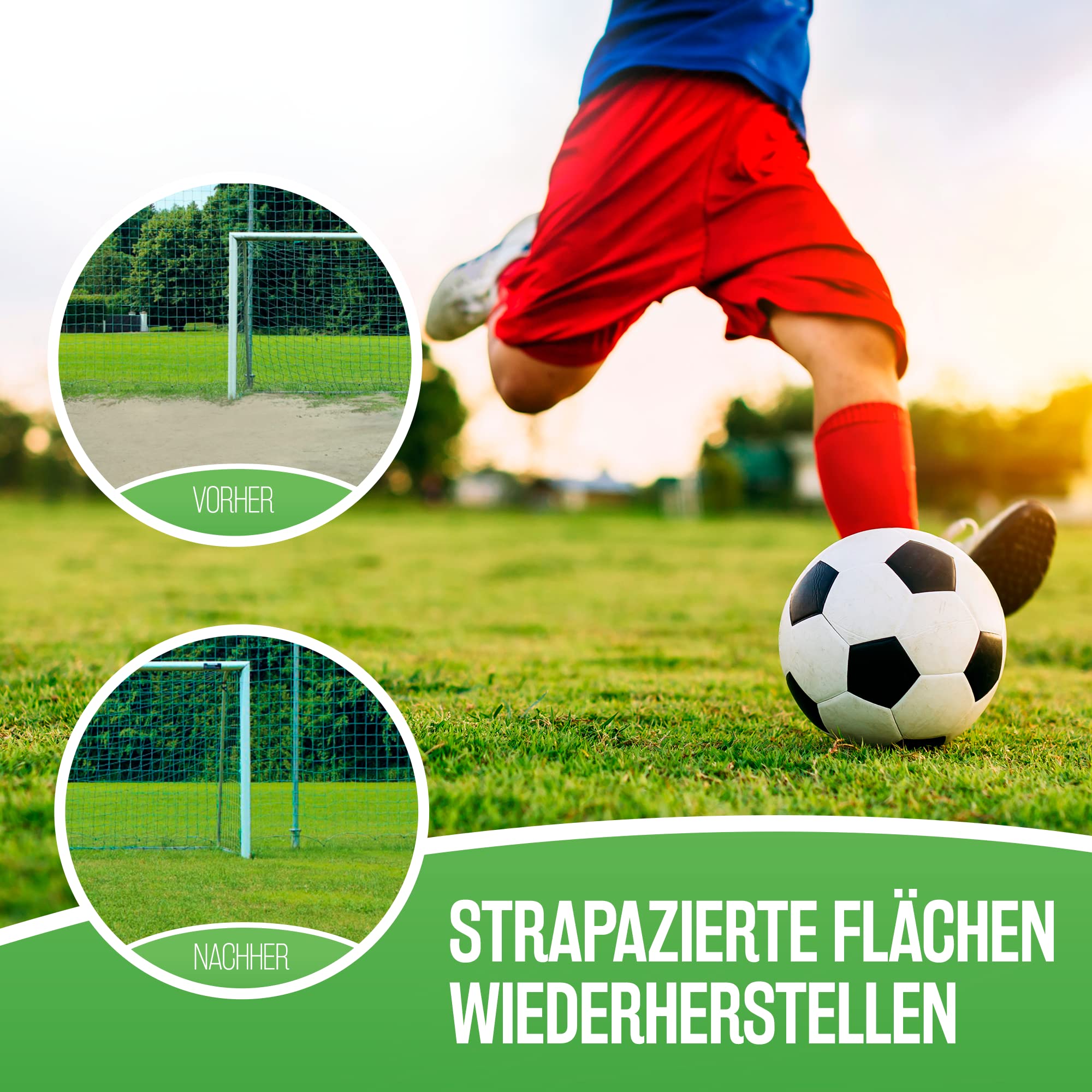 Rasenpellets Schnellkeimend für Sport und Spiel - Rasensamen für Robusten und Widerstandsfähigen Rasen - Rasensaat zur Ansaat und Nachsaat Spielrasen - Premium Schnell Wachsende Grassamen (10 kg)