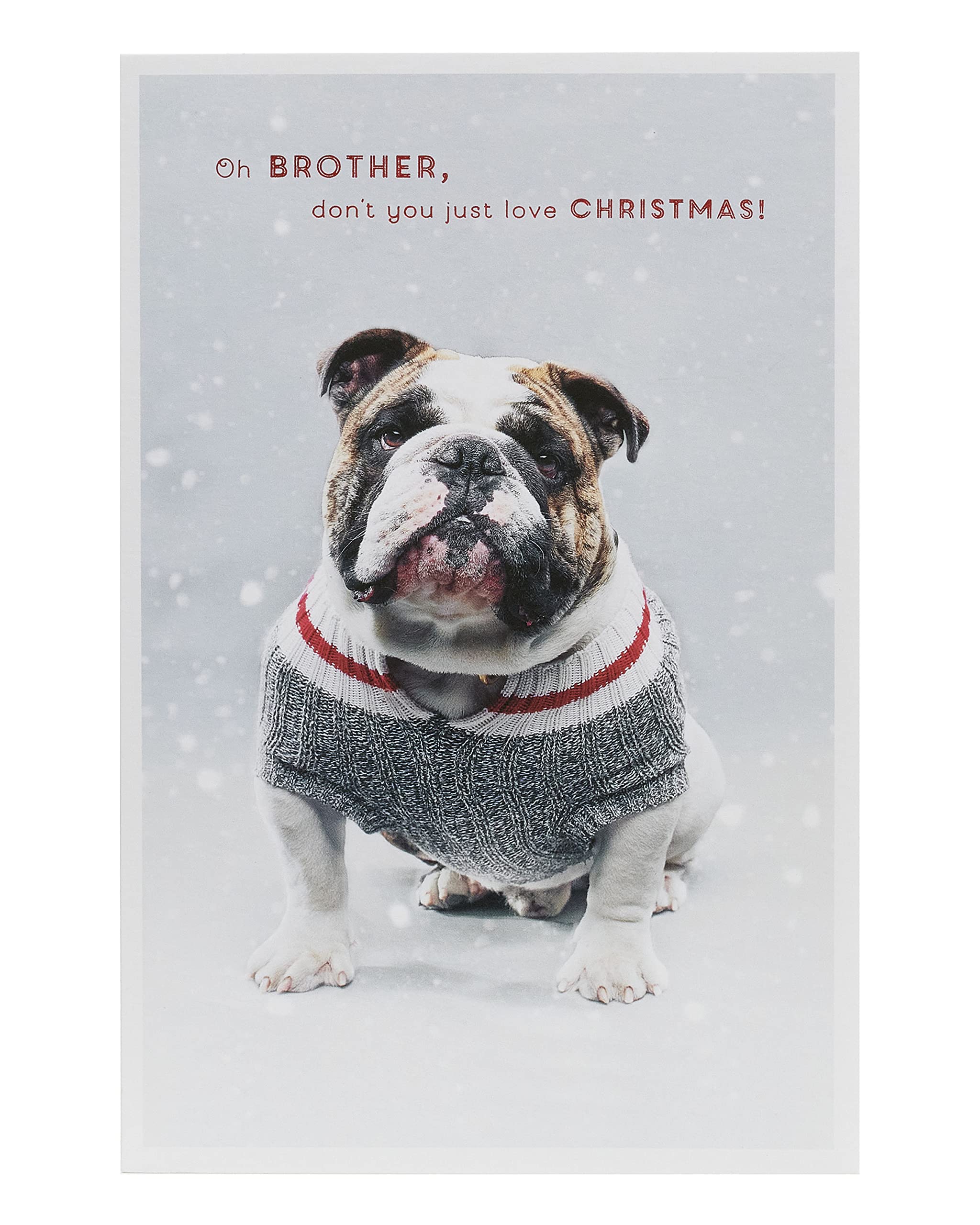 UK Greetings Christmas Card for Brother - Dog Design