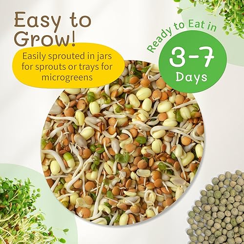 Miniatura 6 de The Sprout House Muestra de semillas orgánicas variadas paquete de 12