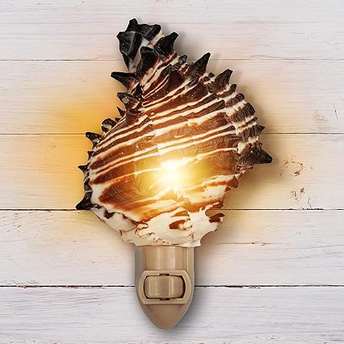 Tumbler Home Shell Night Light, Seashell Nightlight for Bathroom, Unique