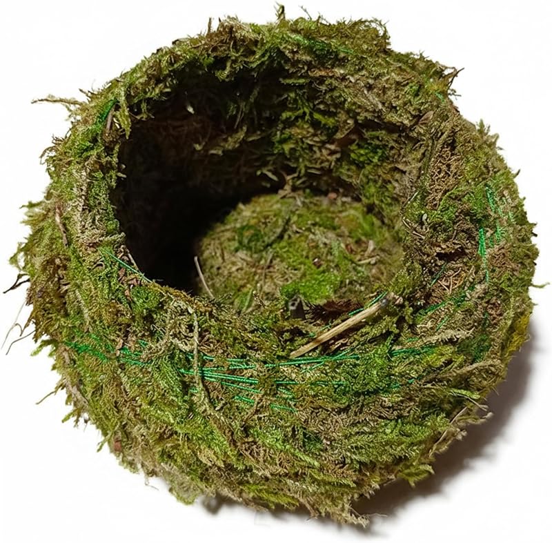 Kokedama Macetero creativo con bolas de musgo, cuenco de 8 cm, macetero para orquídeas, bonsái y plantas de aire, decoración decorativa para interiores, hogar, jardín, macetas para árboles bonsái