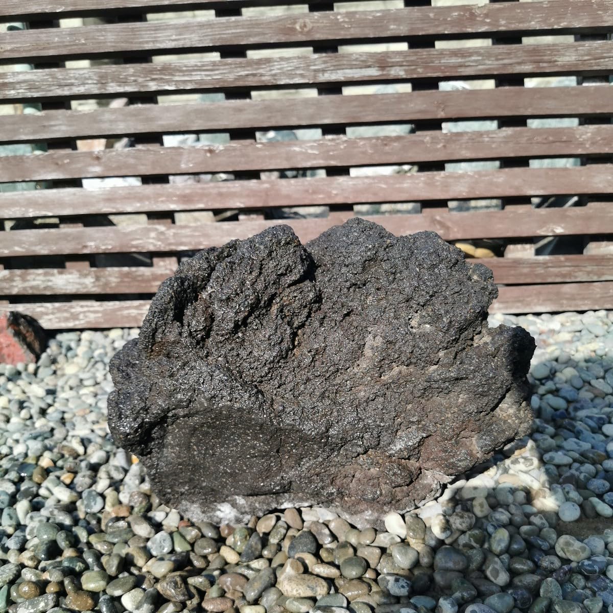 Amazon.co.jp: 富士溶岩石21.8キロ 庭石鑑賞石石盆石水石灯籠庭坪庭