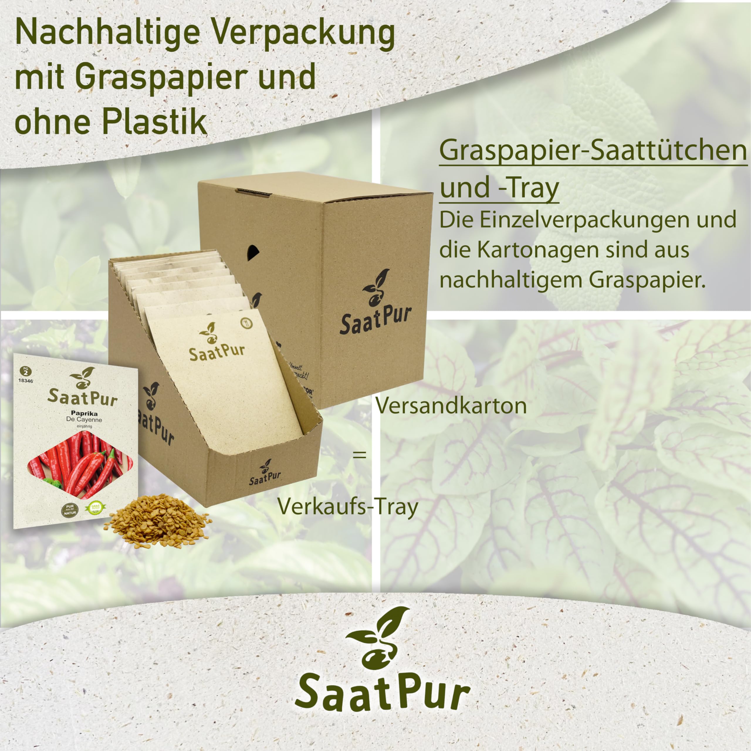 SaatPur Paprika De Cayenne Samen, samenfeste Samen Saatgut - Kleines Tray mit 25 Portionstüten für je ca. 60 Pflanzen