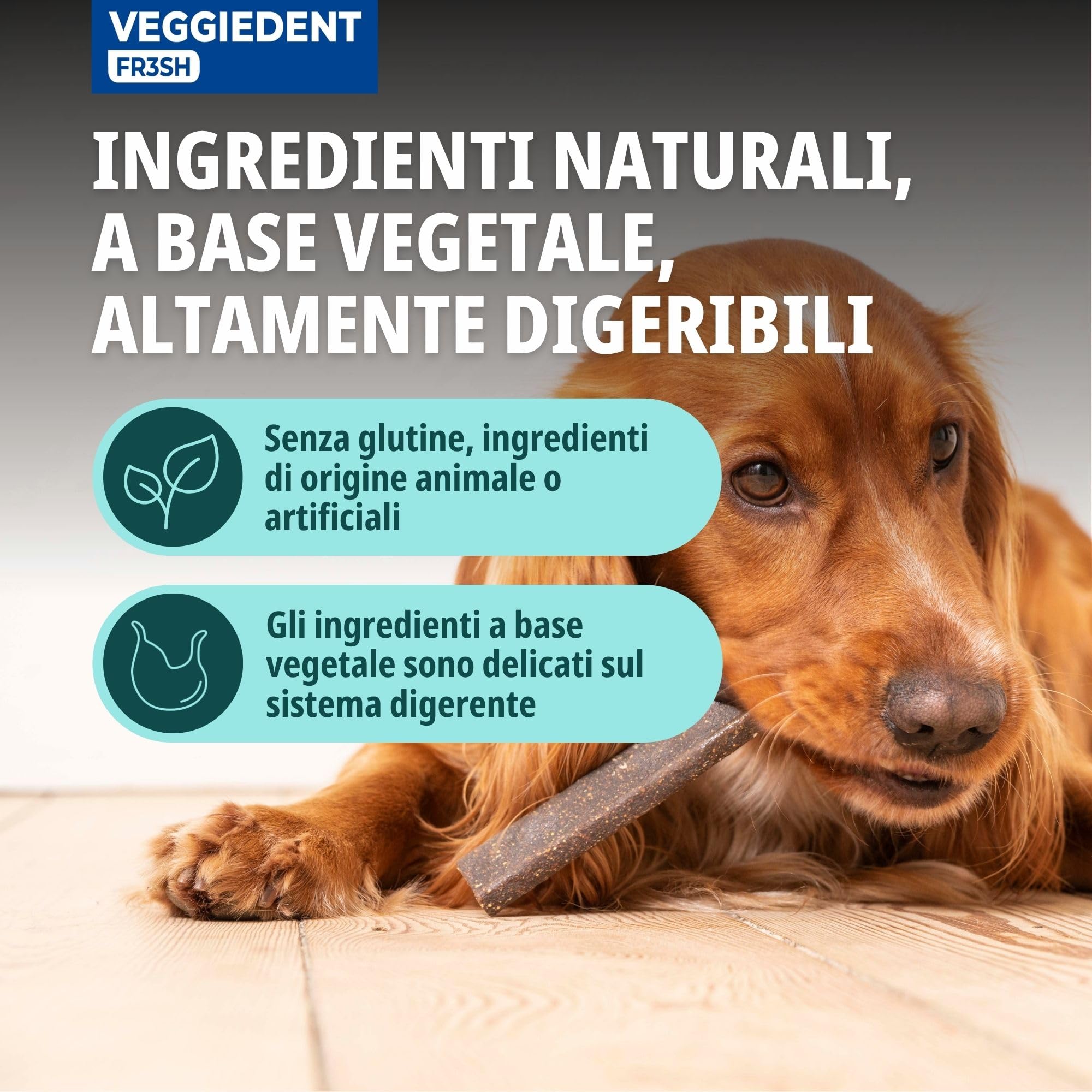 Virbac VeggieDent - Strisce da masticare per cani di taglia media (da 10 a 30 kg), 15 strisce
