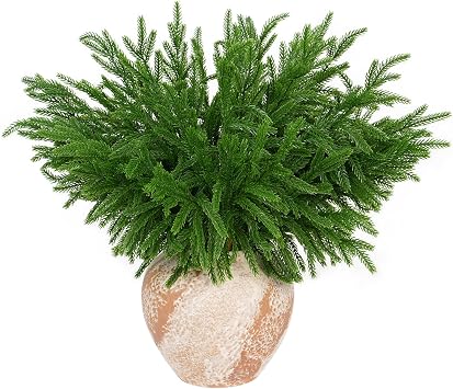 30 Pcs Christmas Real Touch Norfolk Stems,35.5CM Artificial Needle Branches Faux Evergreen Sprigs for Xmas Garland Wreath DIY Holiday Accessories Christmas Crafts Home Decoration 30