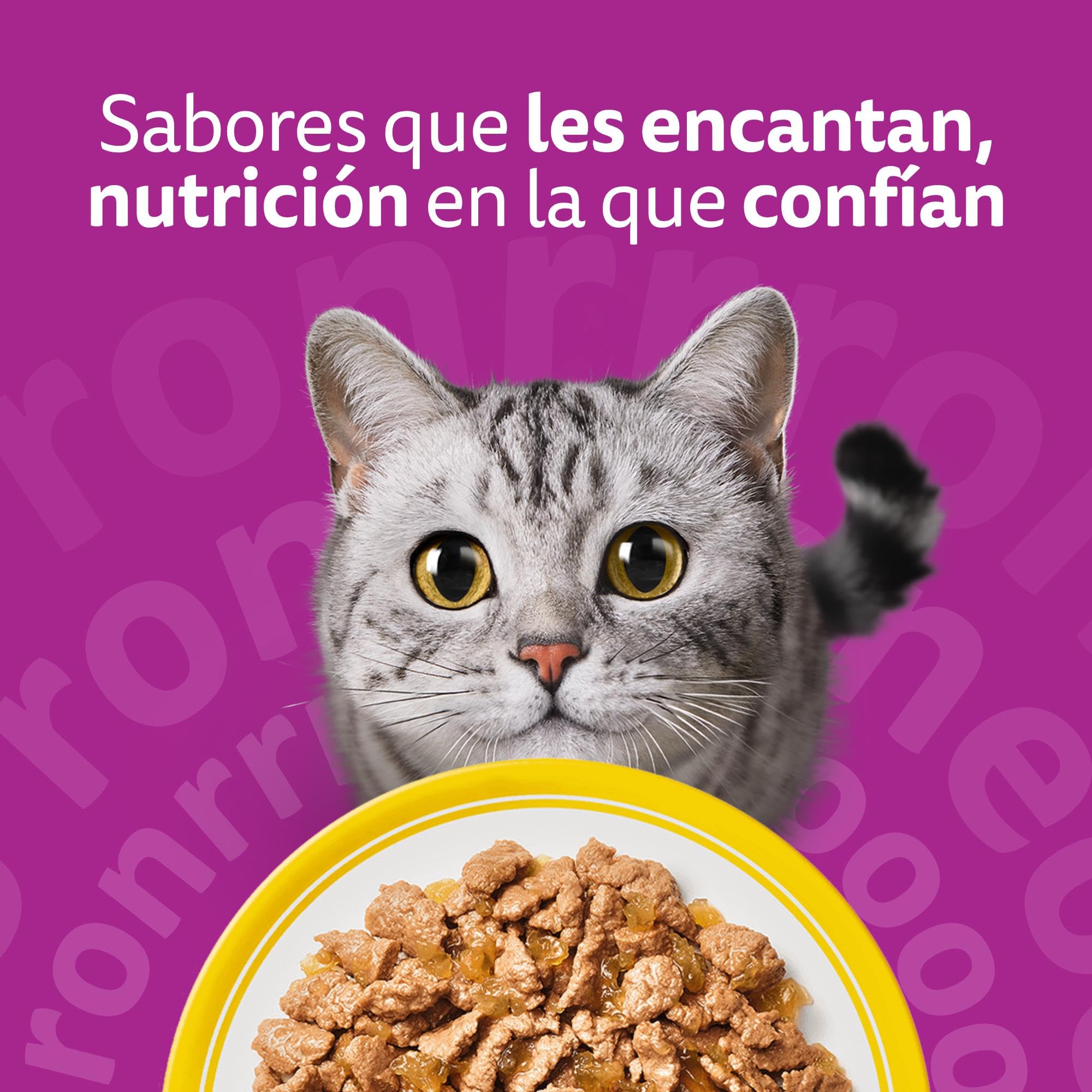 WHISKAS Comida húmeda en gelatina Gatos Adultos Selección de Aves - 4 x 12 bolsitas x 85g