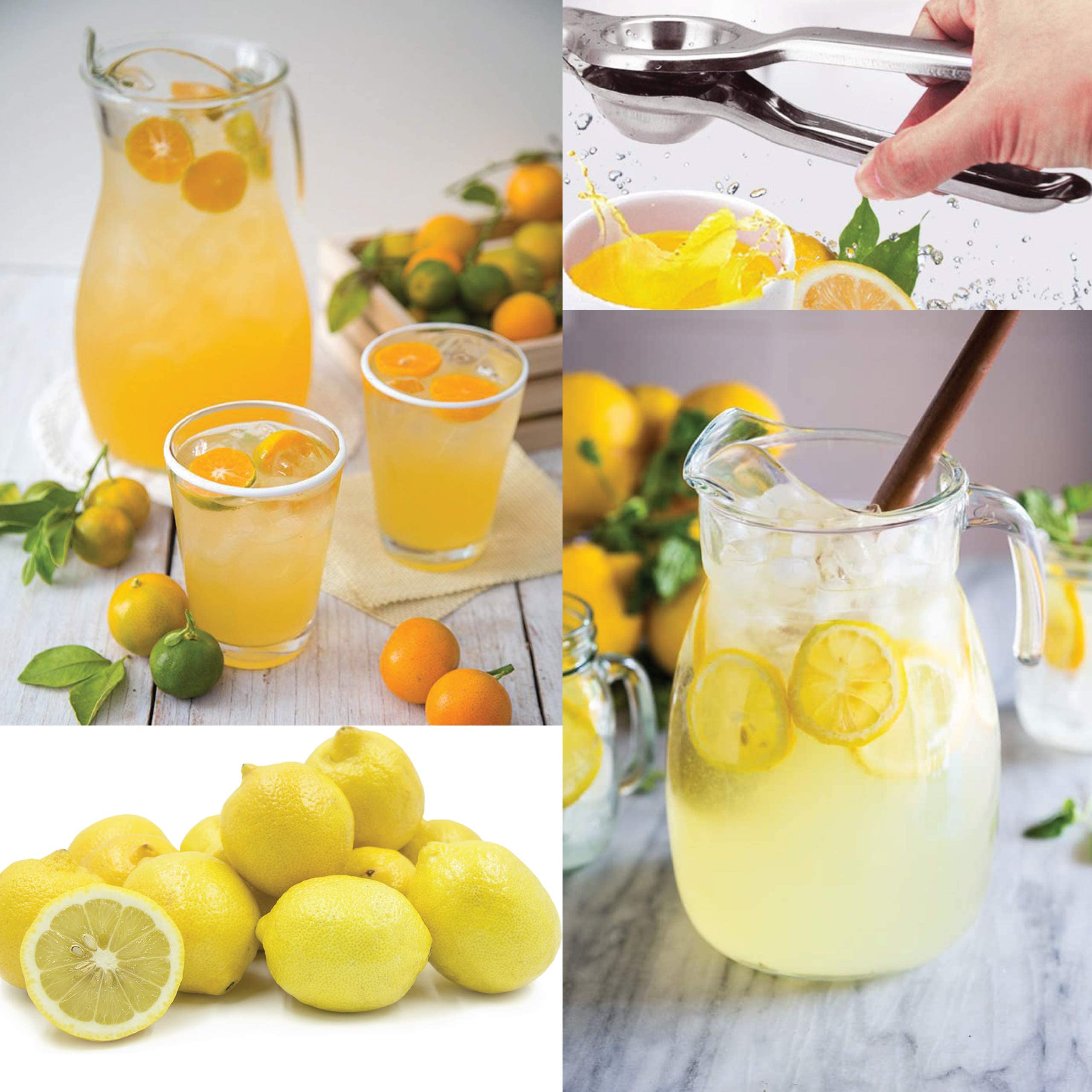 Zitronenpresse, robust, Jumbo-Größe in Lebensmittelqualität, Nr. 304 Edelstahl, bruchsicher, korrosionsbeständig, manuelle Presse, Zitruspresse, Limettenpresse