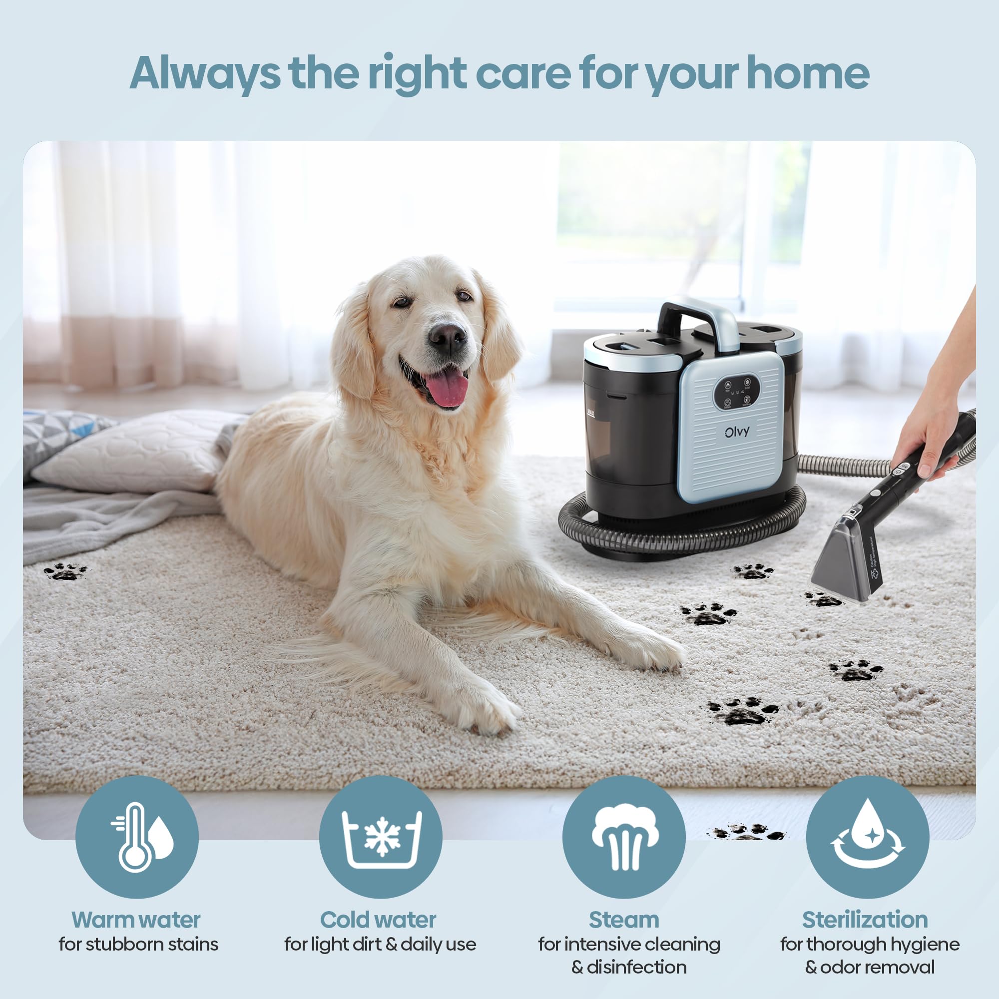 Olvy Pralka Do Dywanów PRO Z Parą 1650W – Nasssauger, 100C Steam Cleaner, Tapicerka Sofa Materac – Plamy