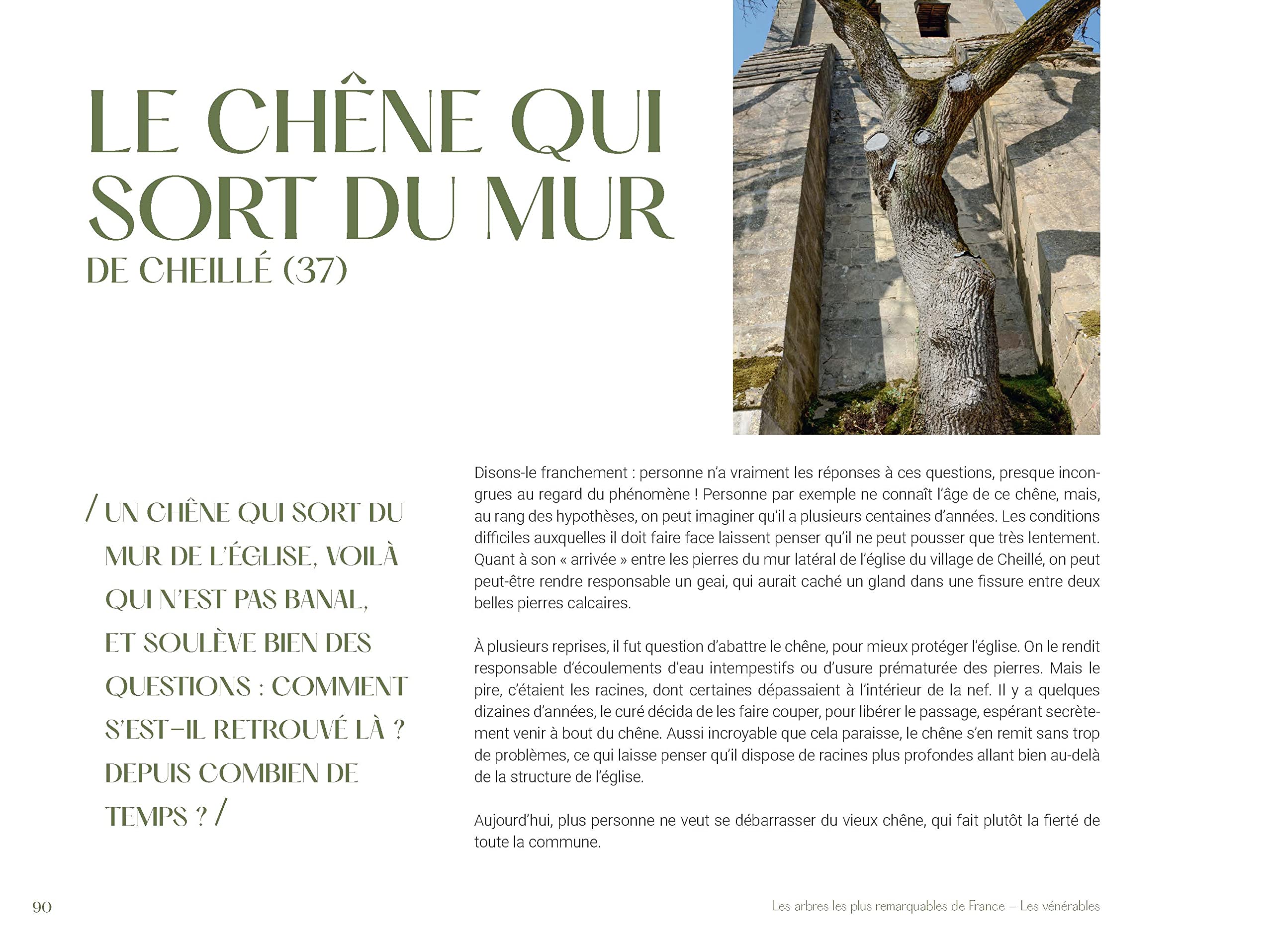 Les Arbres les plus remarquables de France