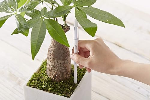 Miniatura 3 de Sustee Aquameter, juego de 5, sensor de humedad del suelo vegetal (verde, mediano)
