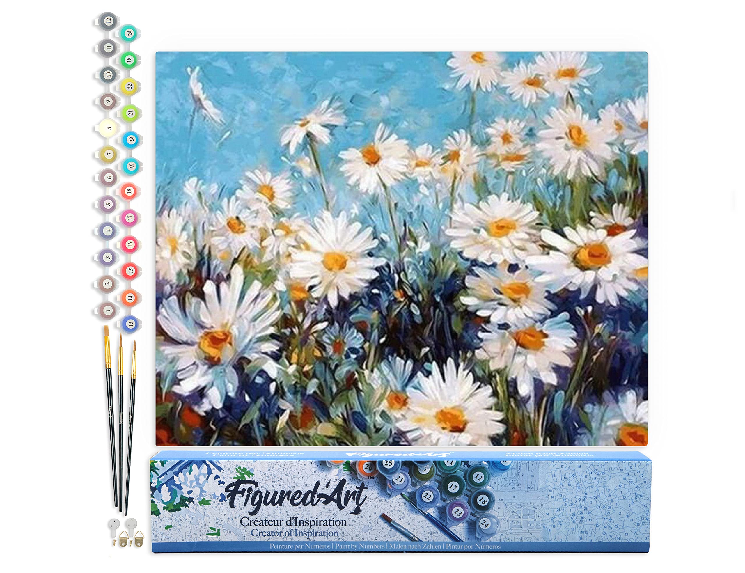Figured'Art Paint by Numbers for Adults Field of Daisies on a Sunny Day 40x50cm - Craft Art Painting DIY Kit Rolled Canvas Without Frame — image 1