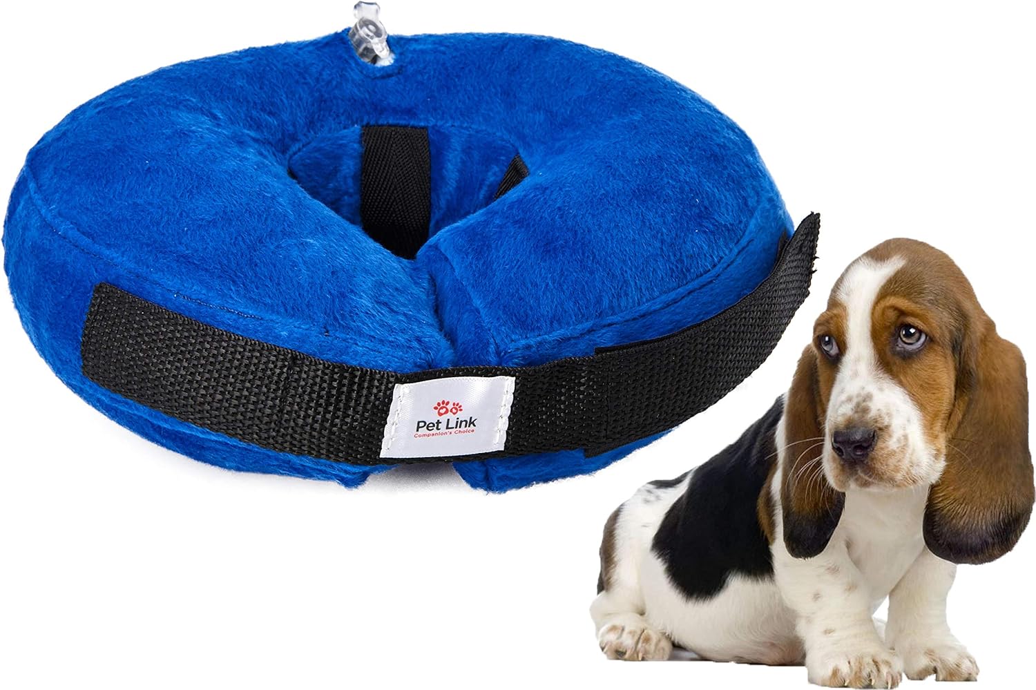Pet link inflatable dog collar Clearance