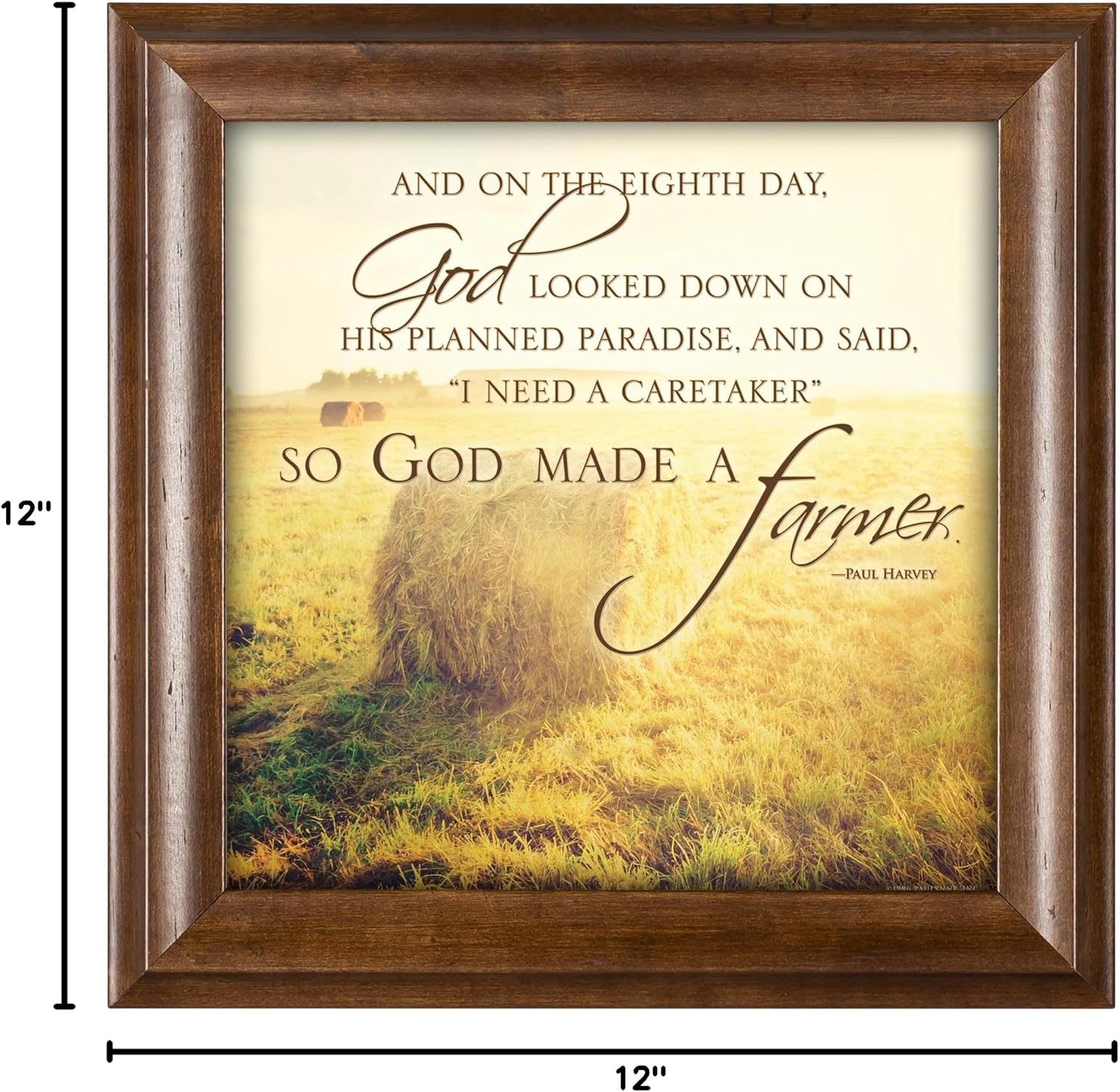 Elanze Designs So God Made a Farmer Hay Bales 12 x 12 Framed Art Wall Plaque with Wood Finish